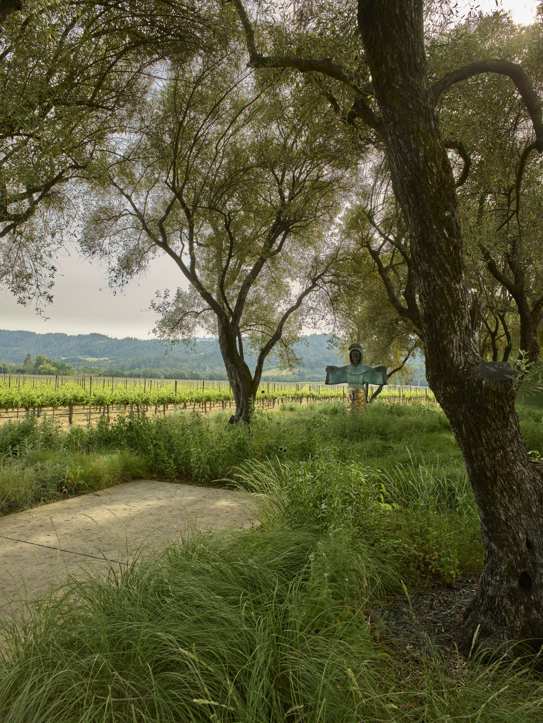 Robert Mondavi Winery — Surfacedesign, Inc.
