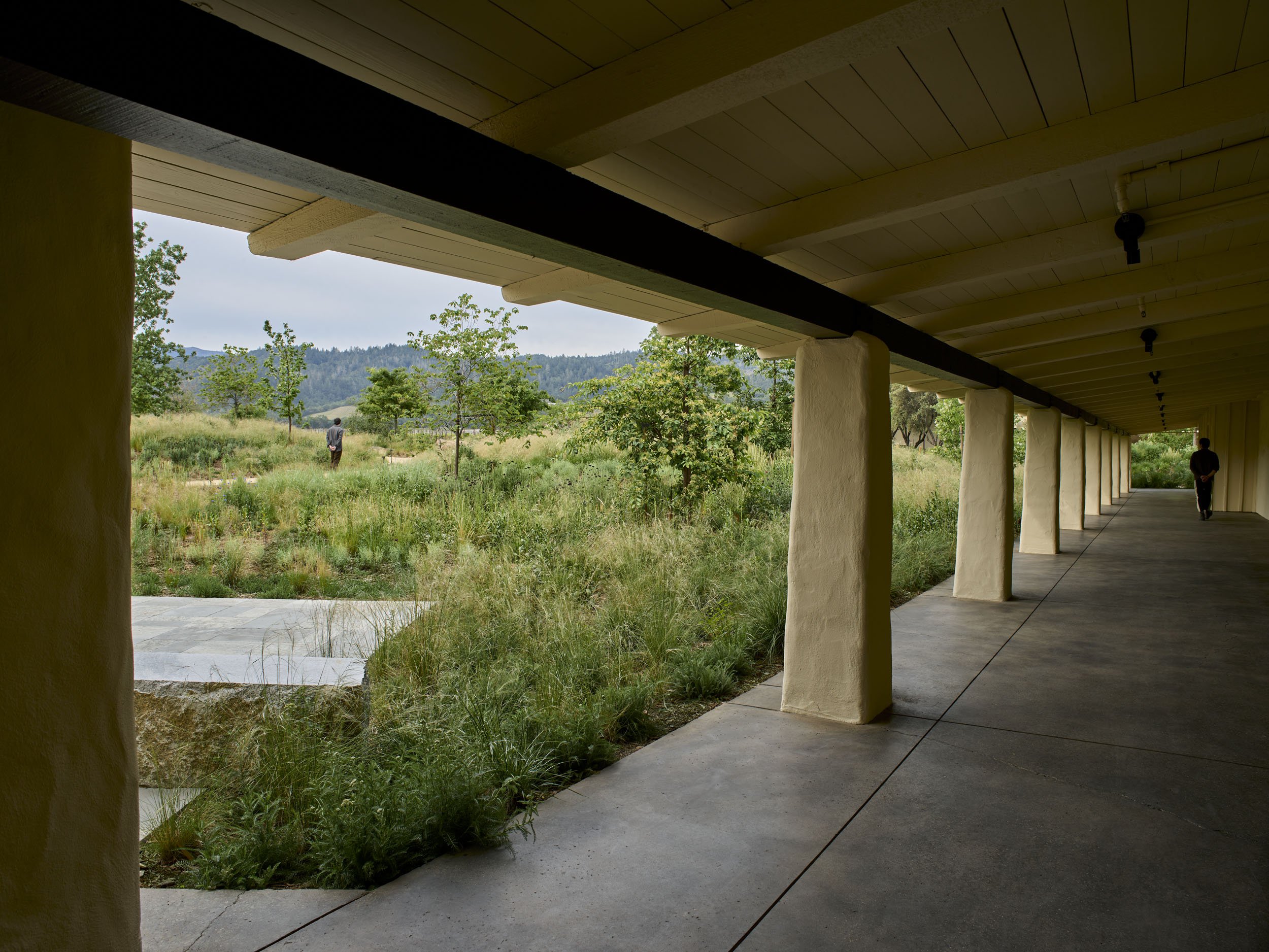 Robert Mondavi Winery — Surfacedesign, Inc.
