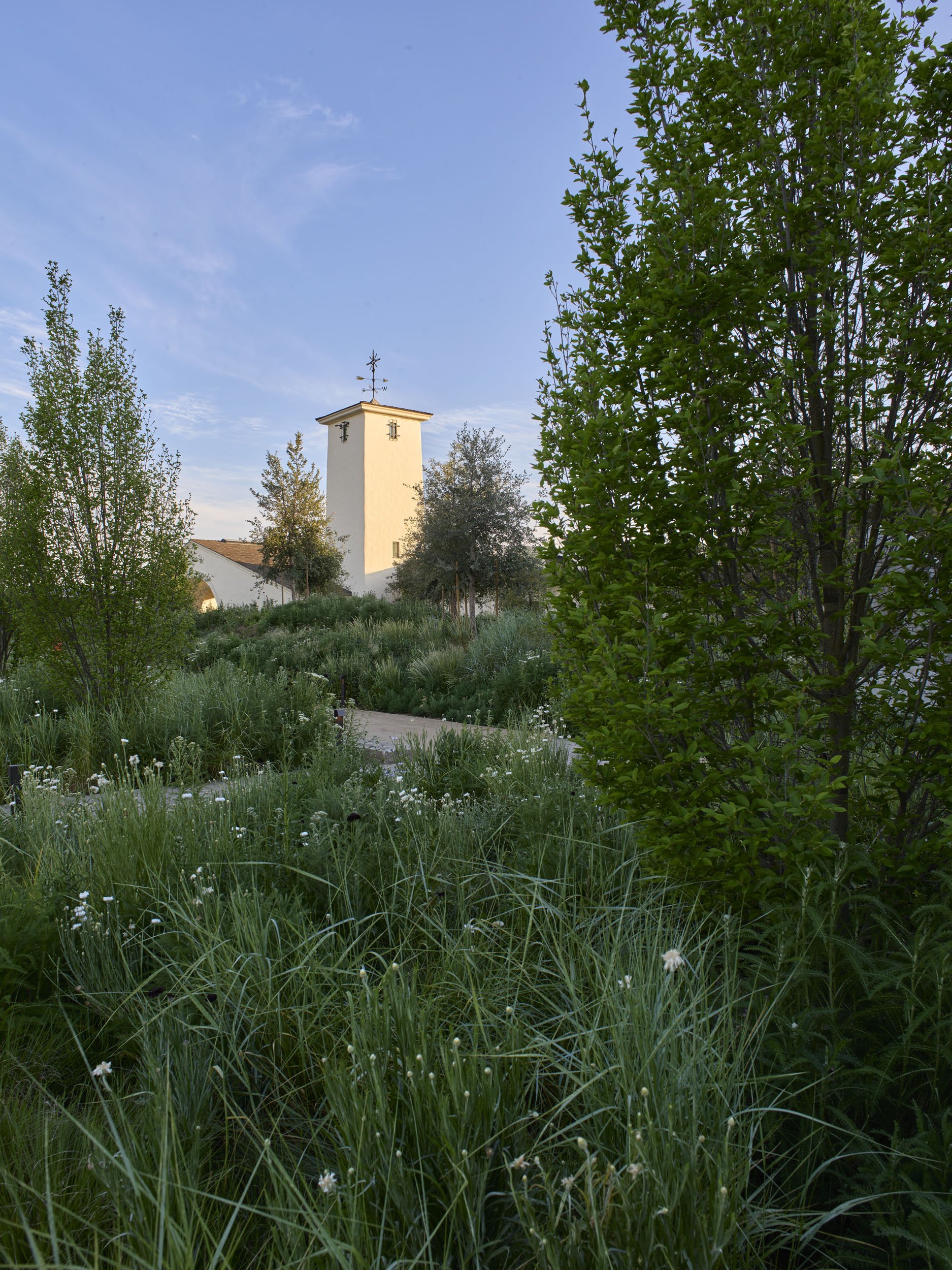 Robert Mondavi Winery — Surfacedesign, Inc.
