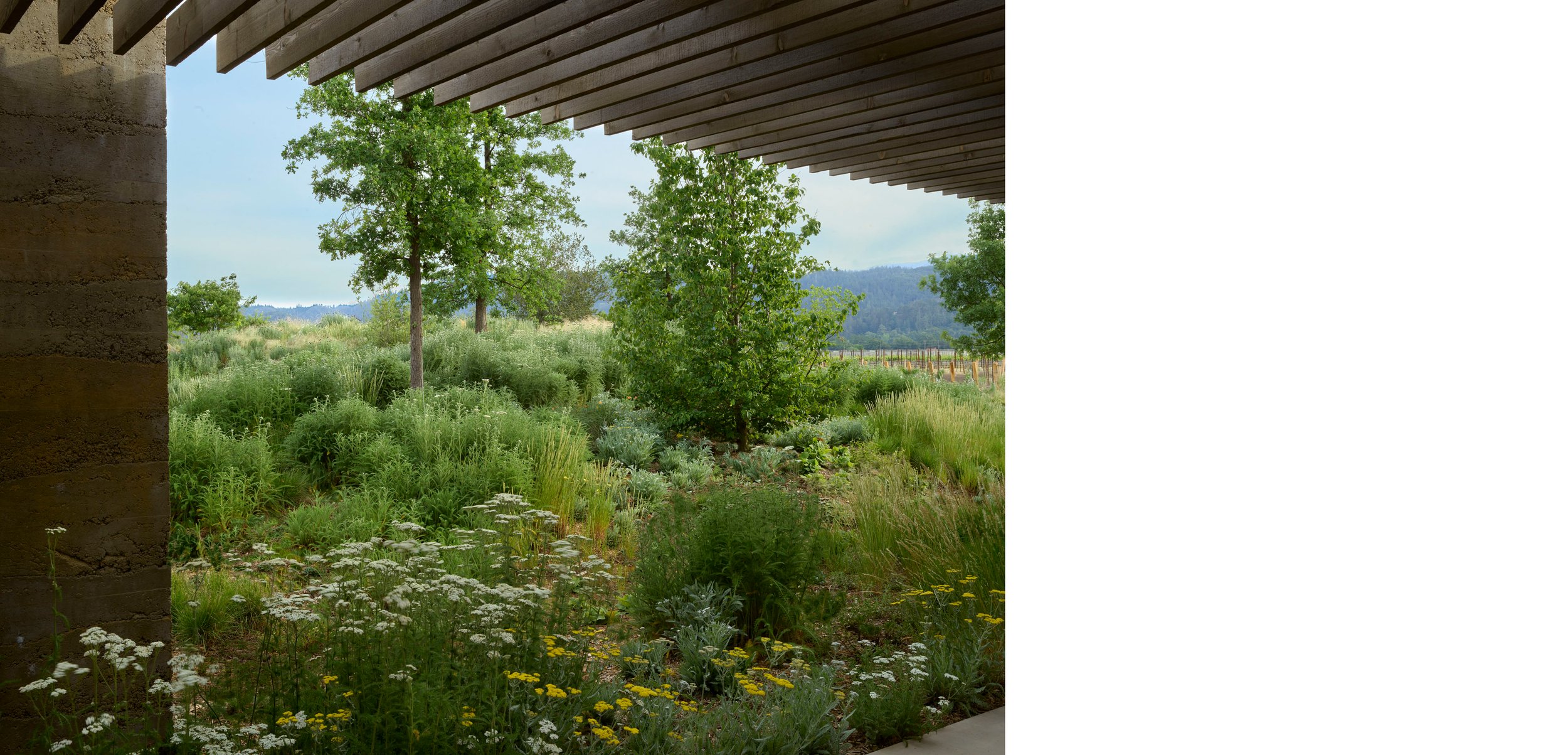 Robert Mondavi Winery — Surfacedesign, Inc.