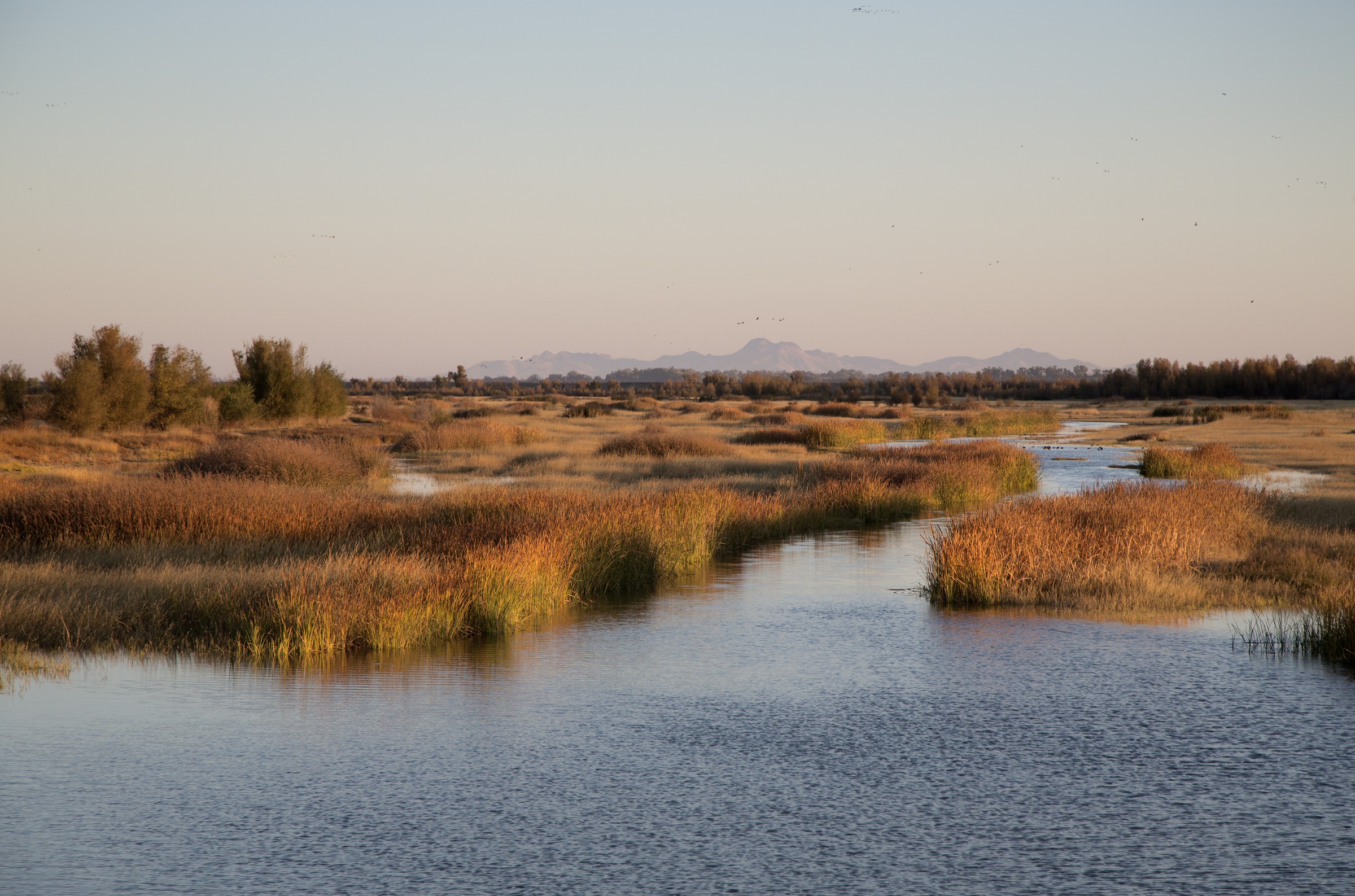 Roosevelt Ranch — Walker Warner