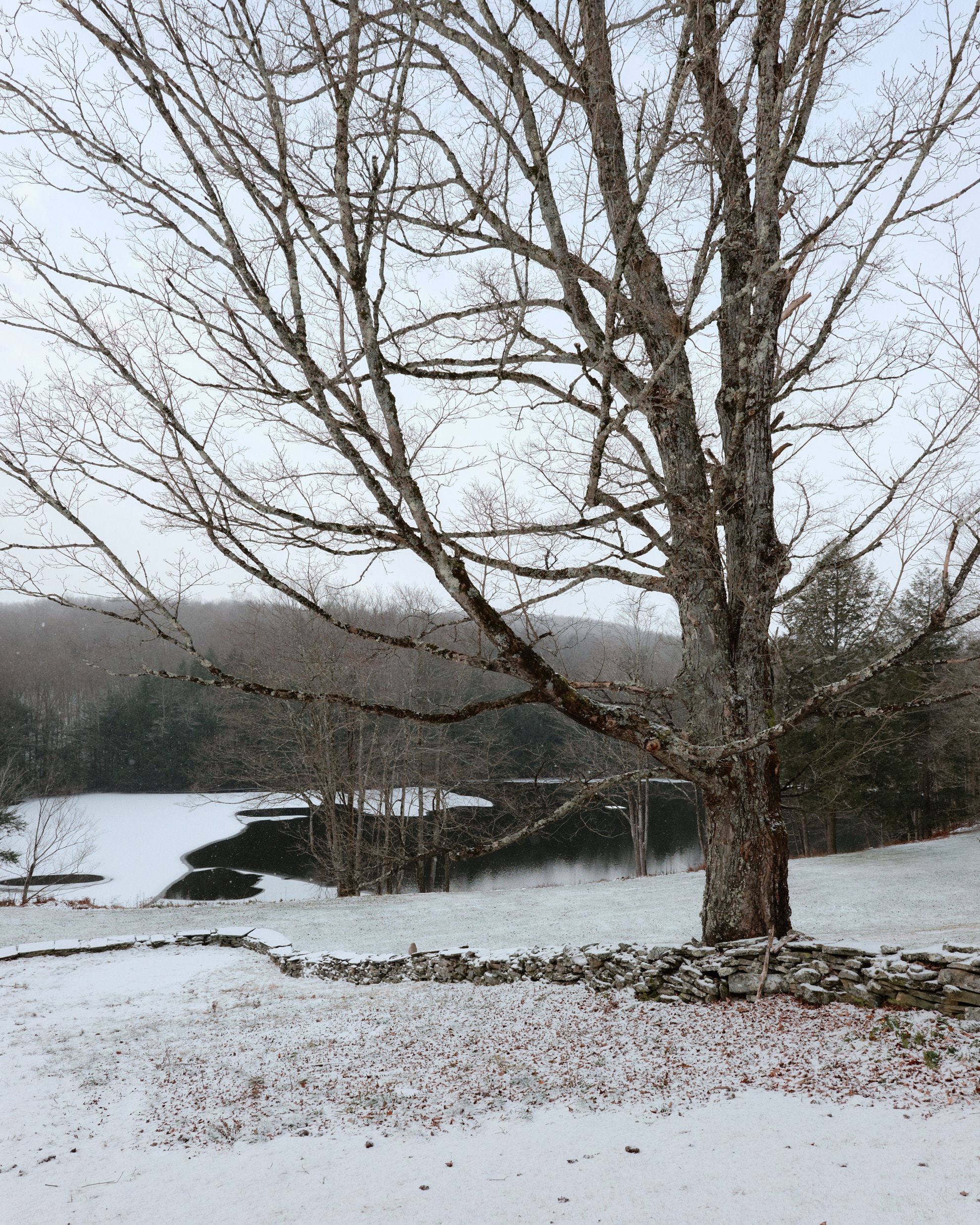 Roscoe Mountain House — ERA