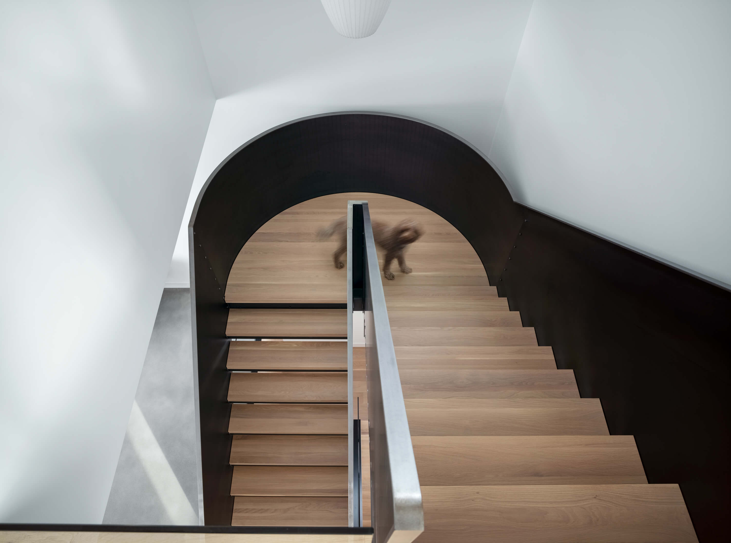 Résidence la Vigie ‹ Projets — Bourgeois / Lechasseur architectes
