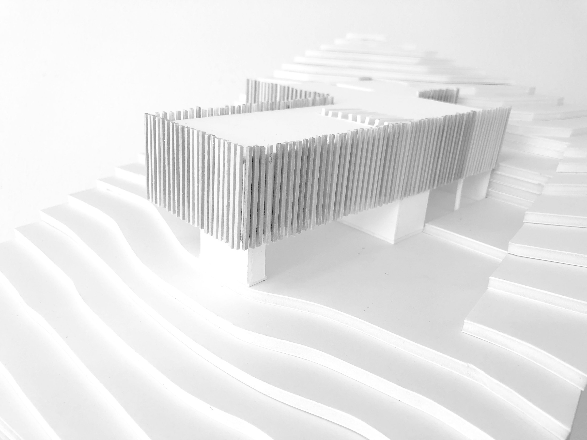 SADDLE HOUSE — a34studio