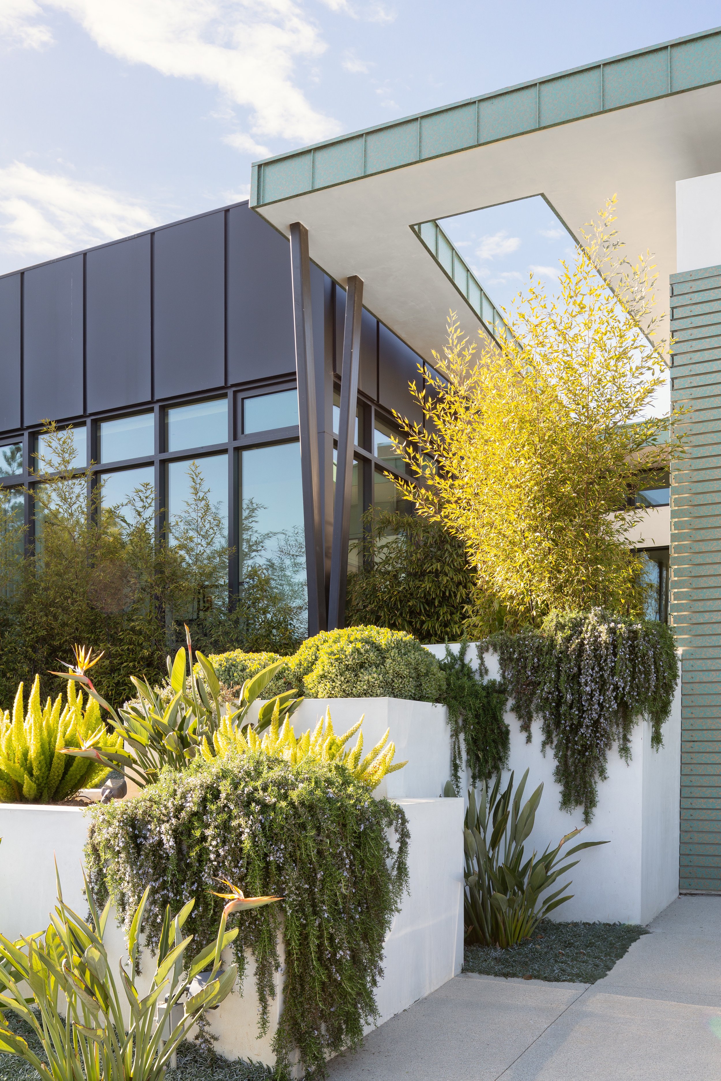 MAR VISTA RESIDENCE — TIM GORTER ARCHITECTS