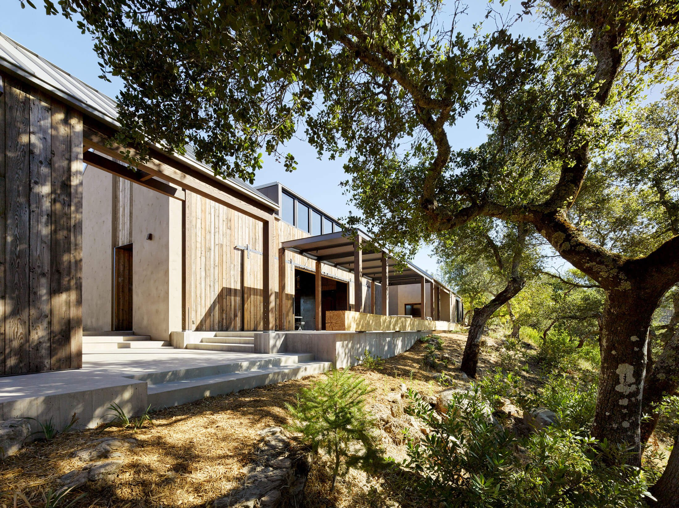 Sentinel Ridge — Field Architecture