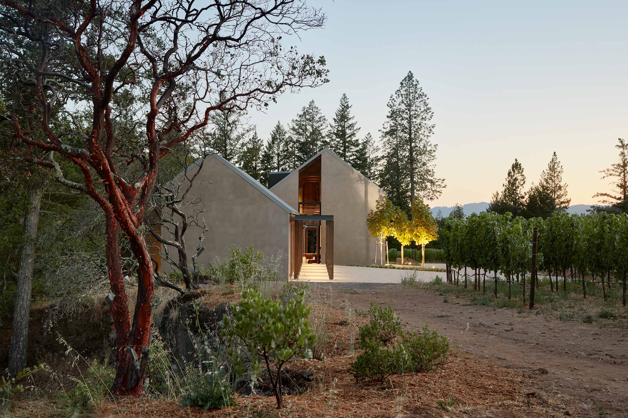 SENTINEL RIDGE — Field Architecture