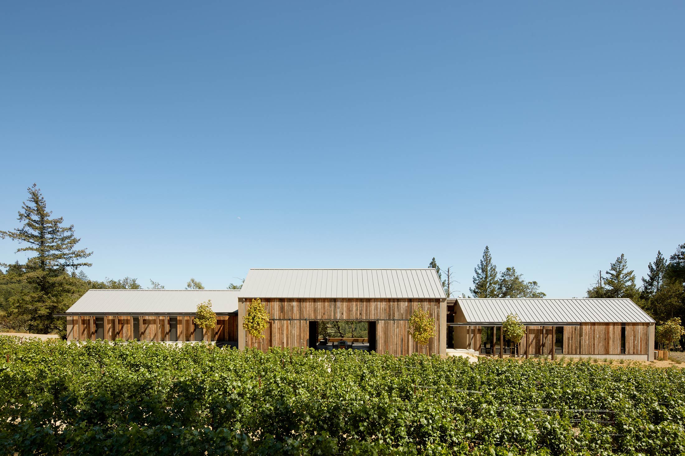 SENTINEL RIDGE — Field Architecture