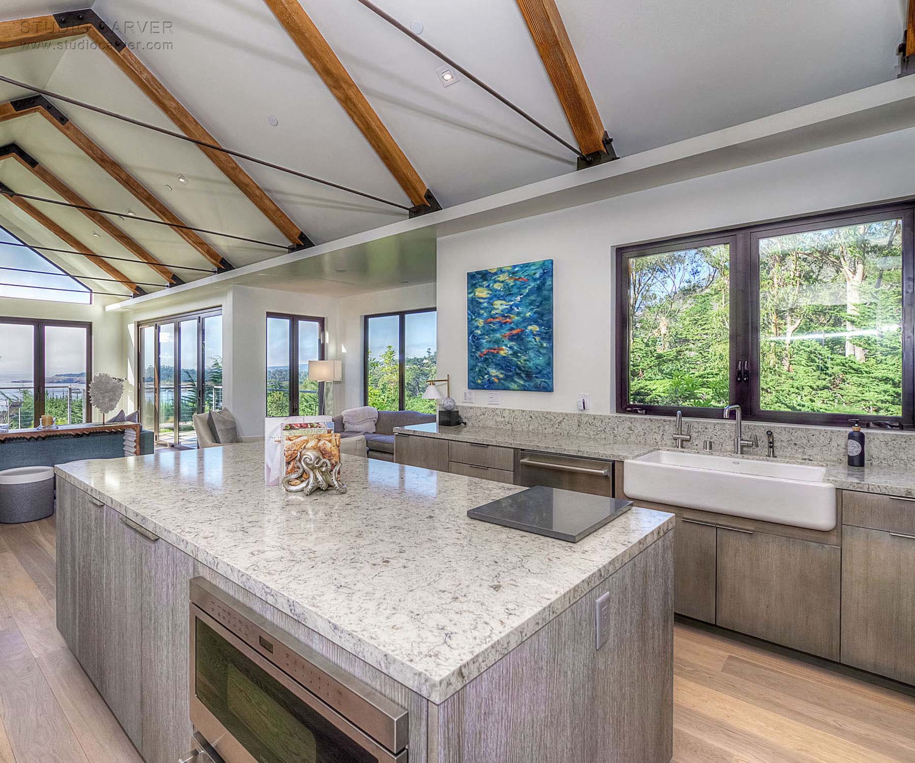 Sonoma Lane Contemporary Architecture — Studio Carver Architects