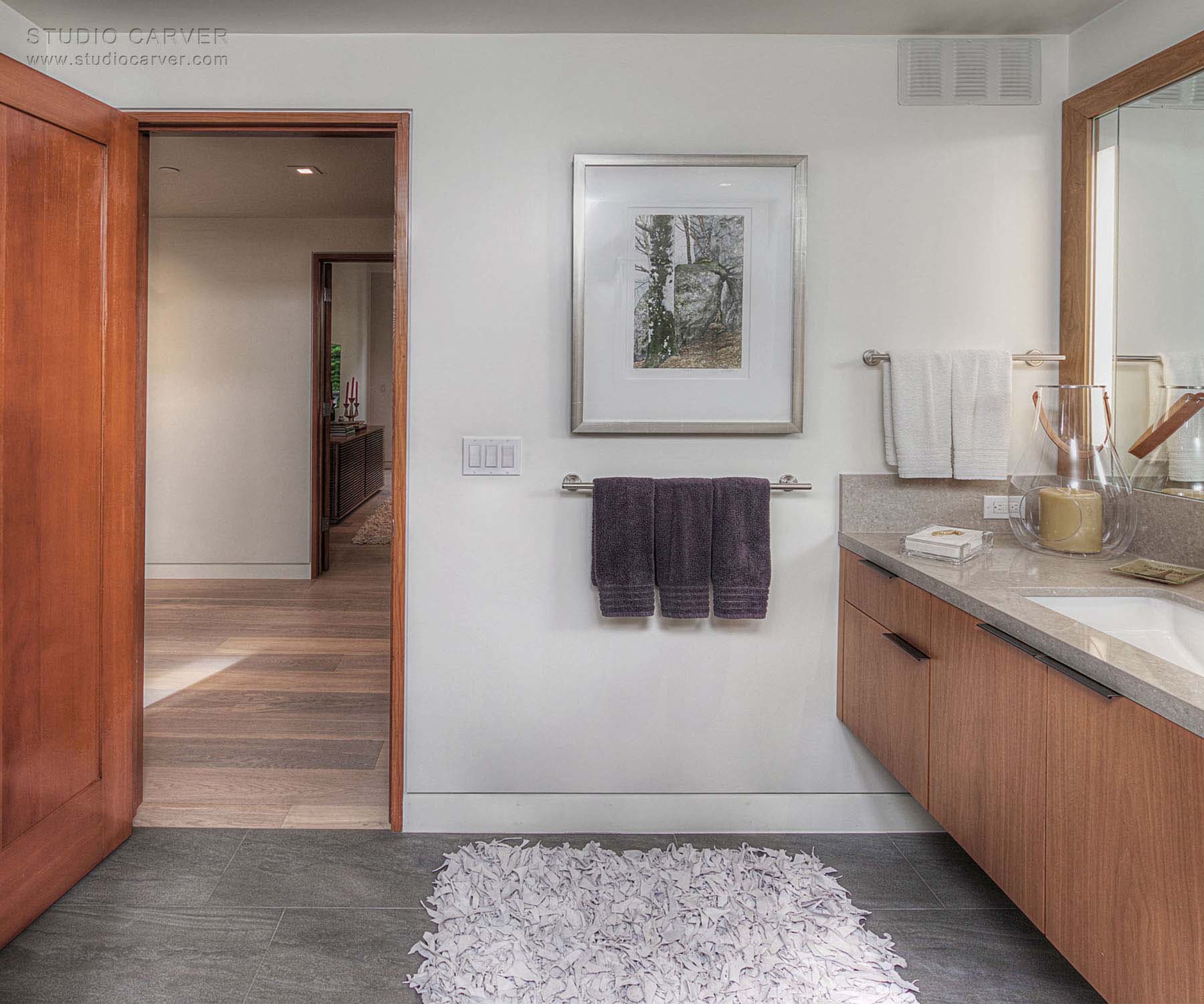 Sonoma Lane Contemporary Architecture — Studio Carver Architects
