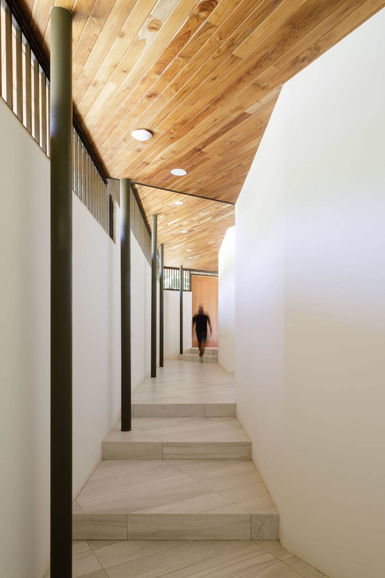 SUEÑO VERDE — LSD – LABORATORY SUSTAINING DESIGN