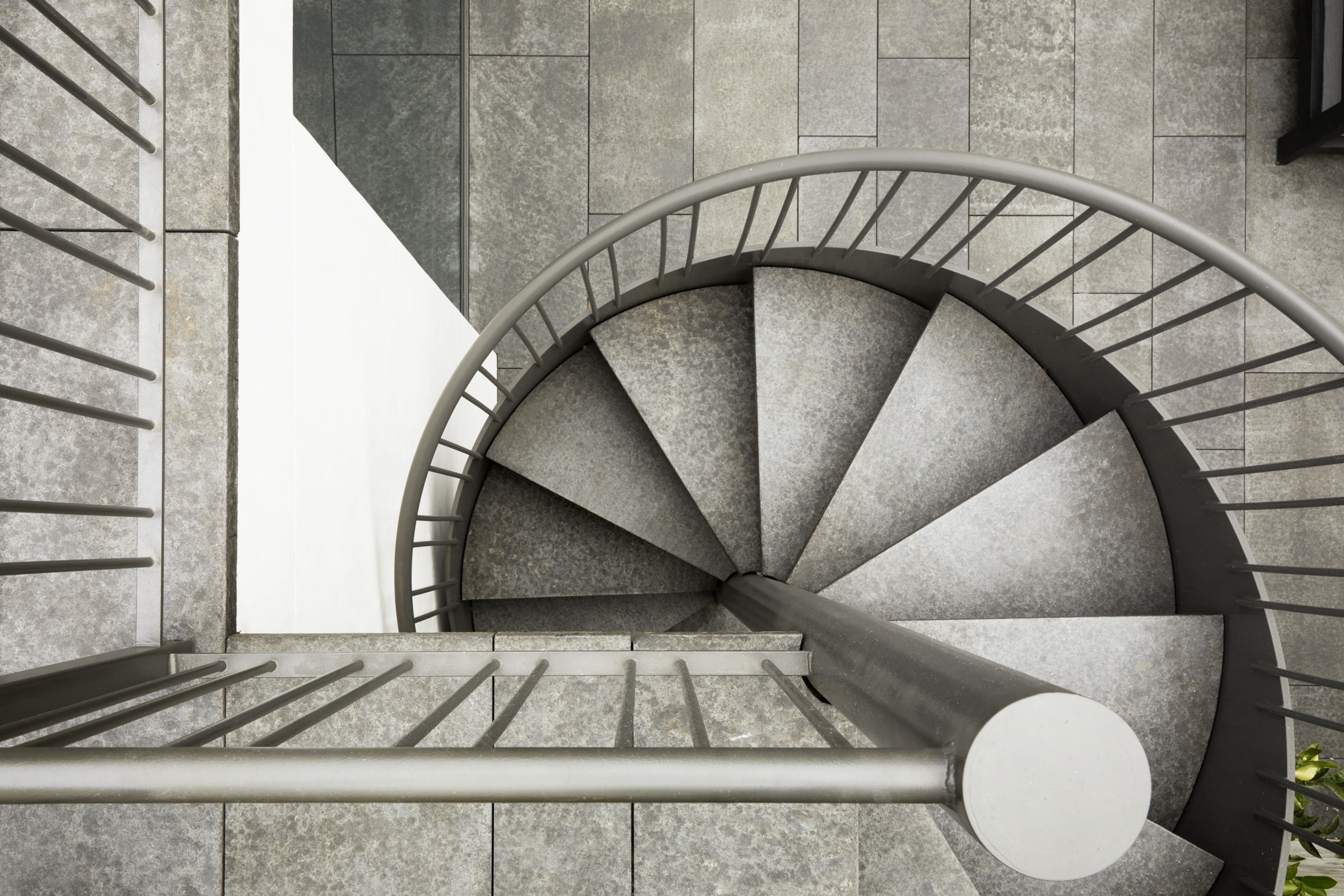 San Francisco Modern — Walker Warner