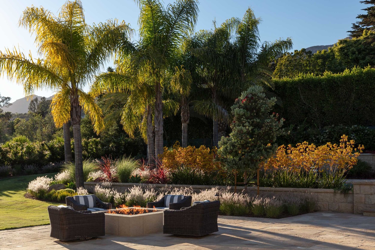 San Ysidro — Tom Meaney | Architect
