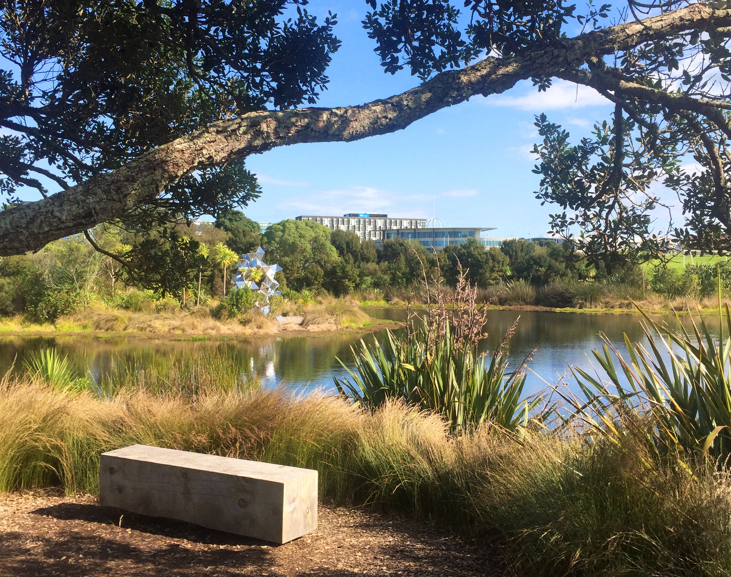 Sculpture Walk — Surfacedesign, Inc.