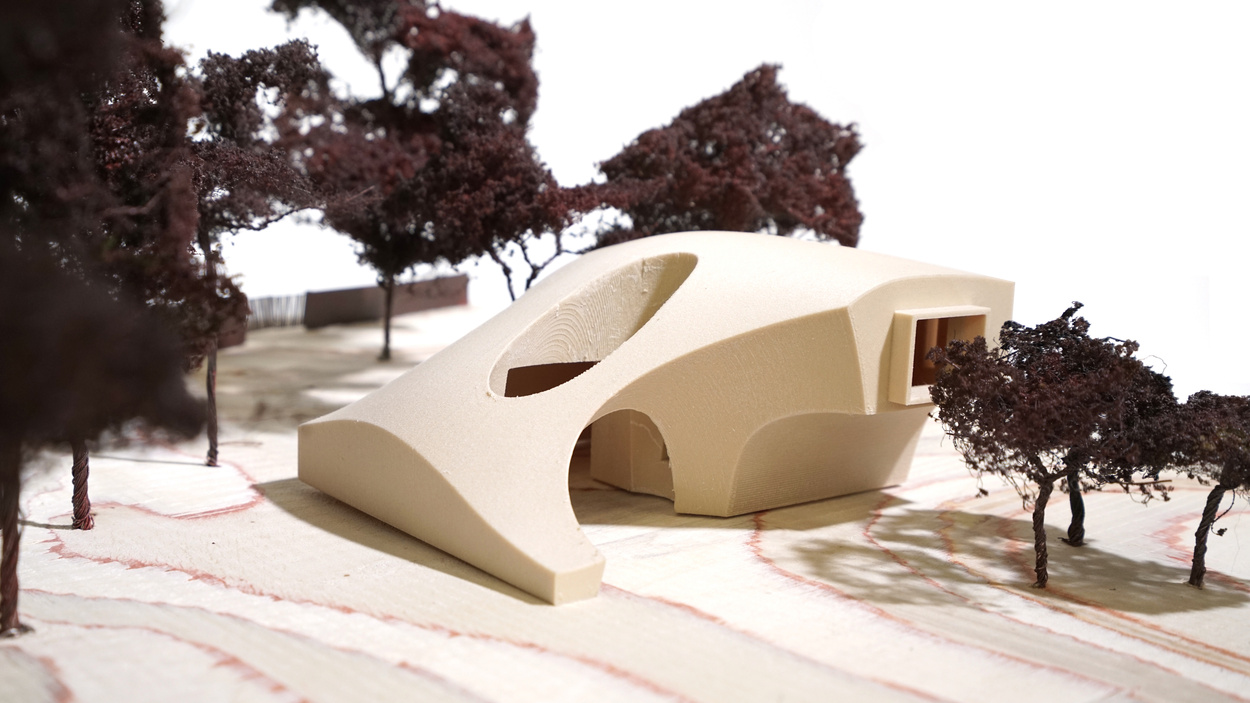 ENDLESS SUMMER — Donaldson+Partners