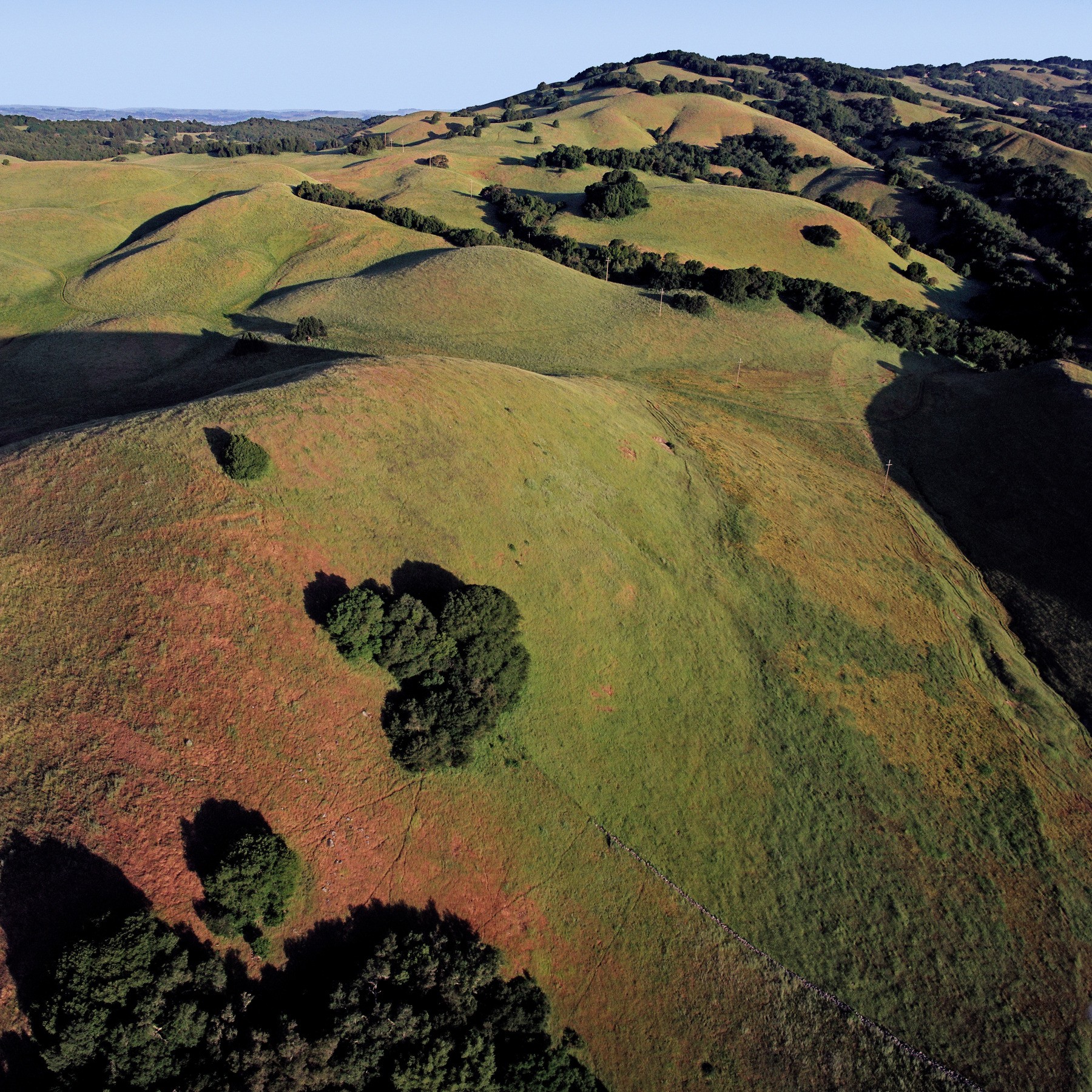 Sonoma Ranch — Walker Warner