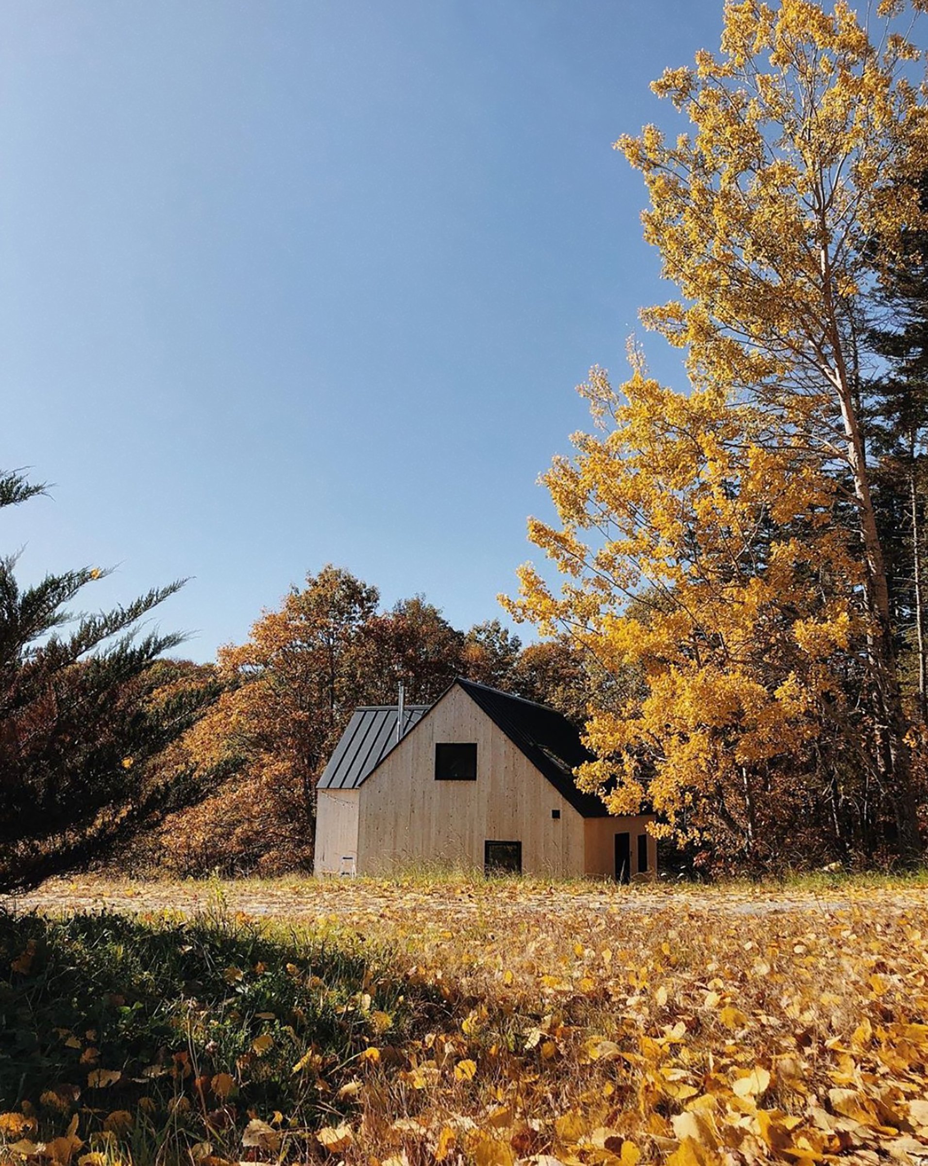 Stella House — DEMO Architects