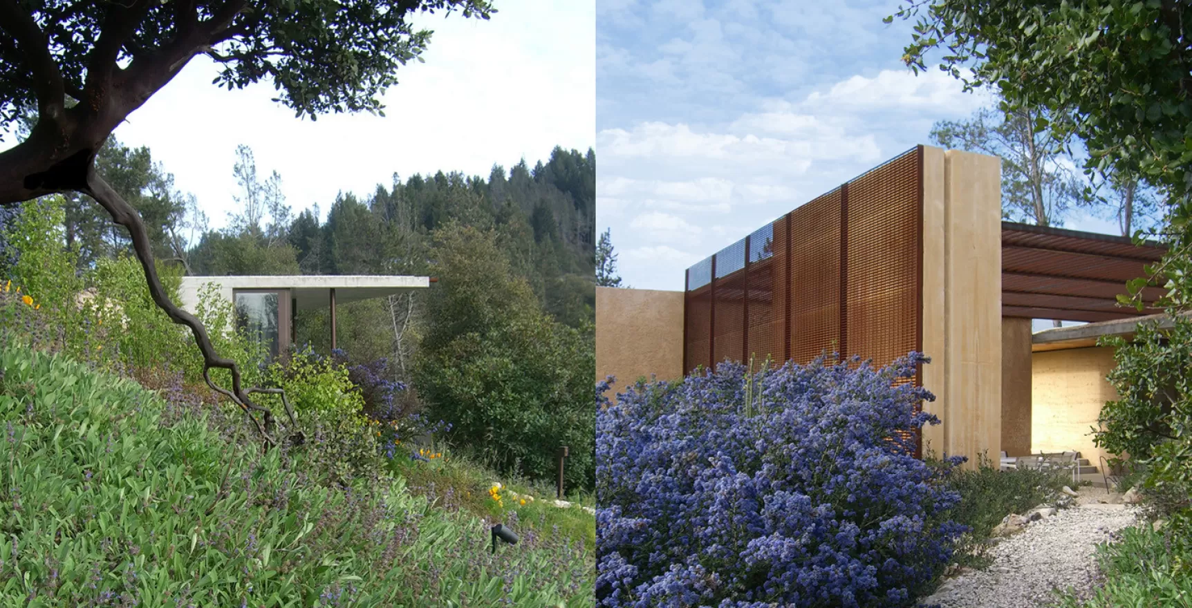 Napa Valley House, CA — Steven Harris Architects