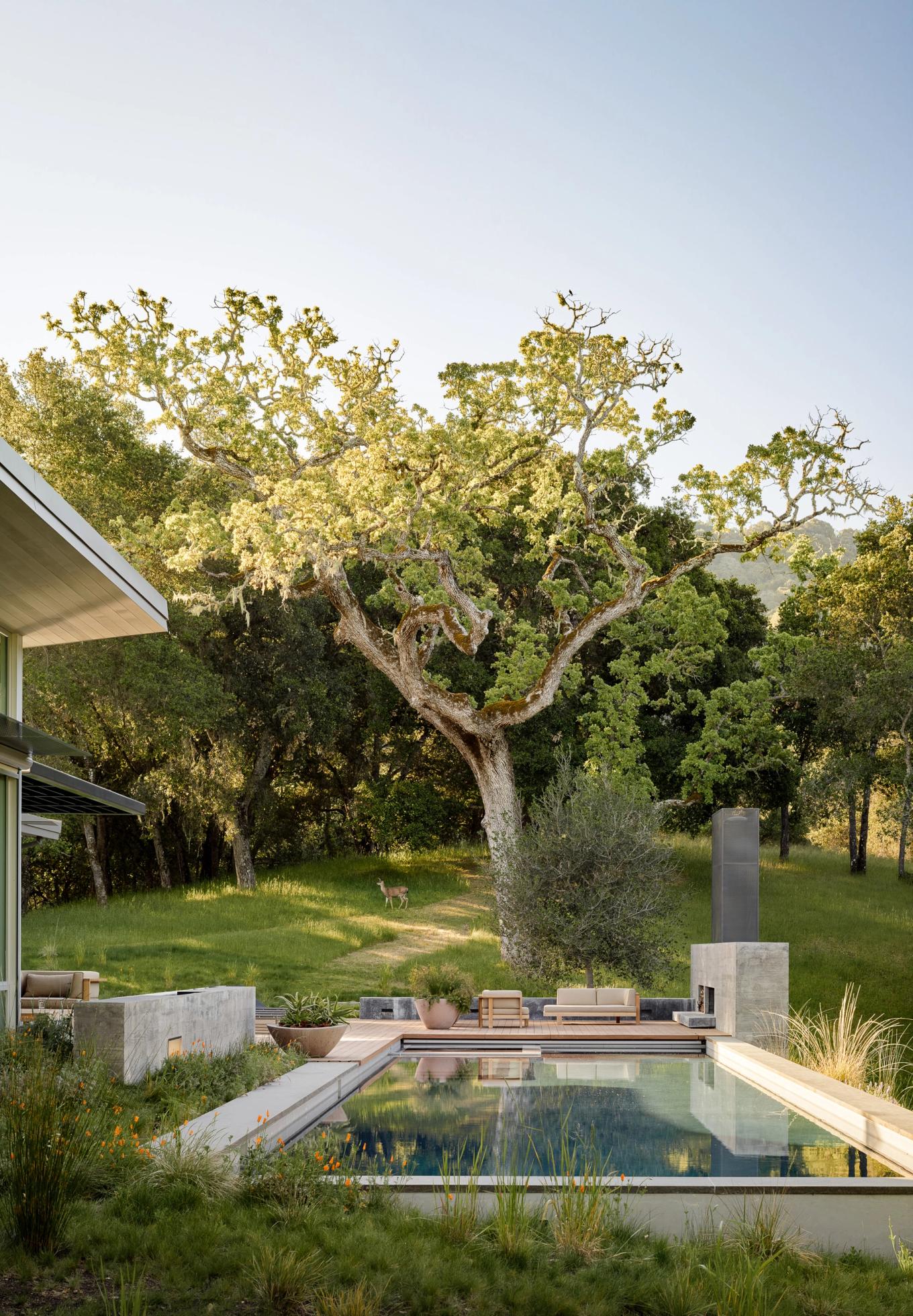Stewardship — Feldman Architecture