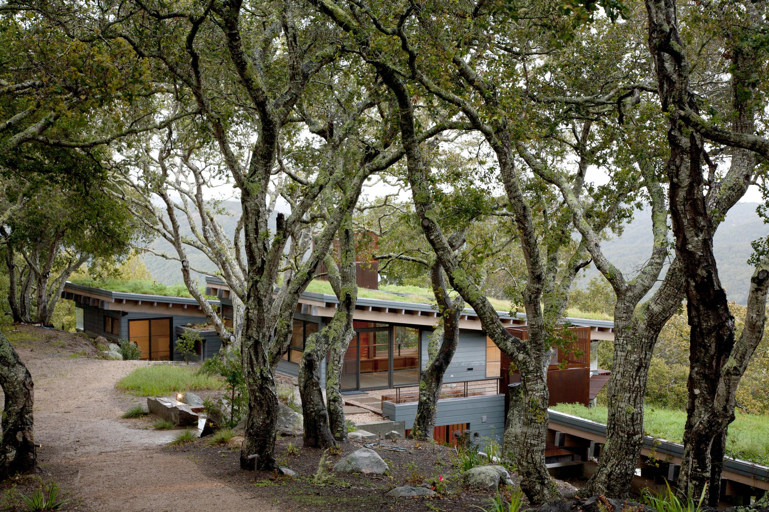 Stewardship — Feldman Architecture