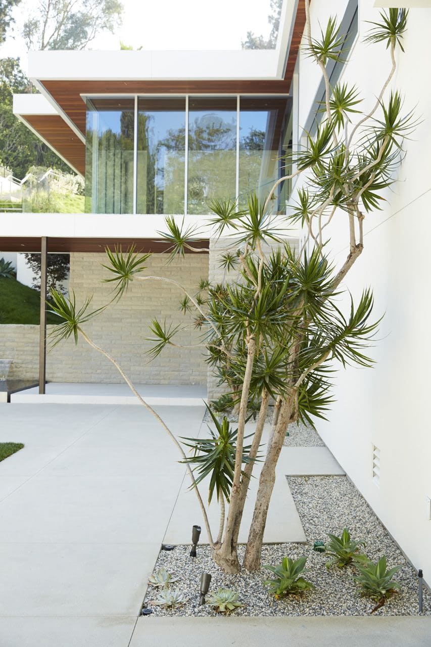 Sunset Plaza Residence — Fiore Landscape Design