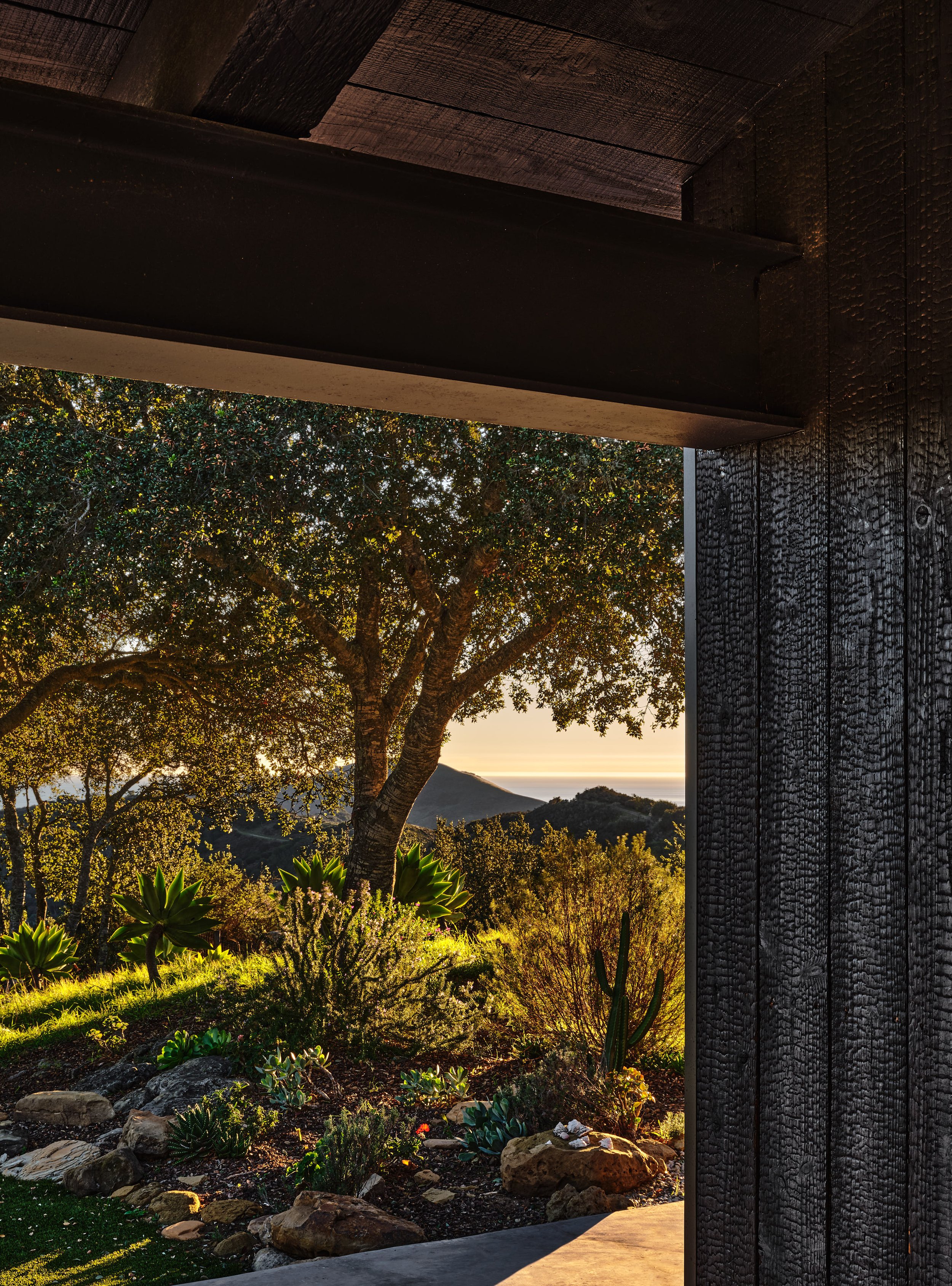 THE BLACK SHACK — a34studio