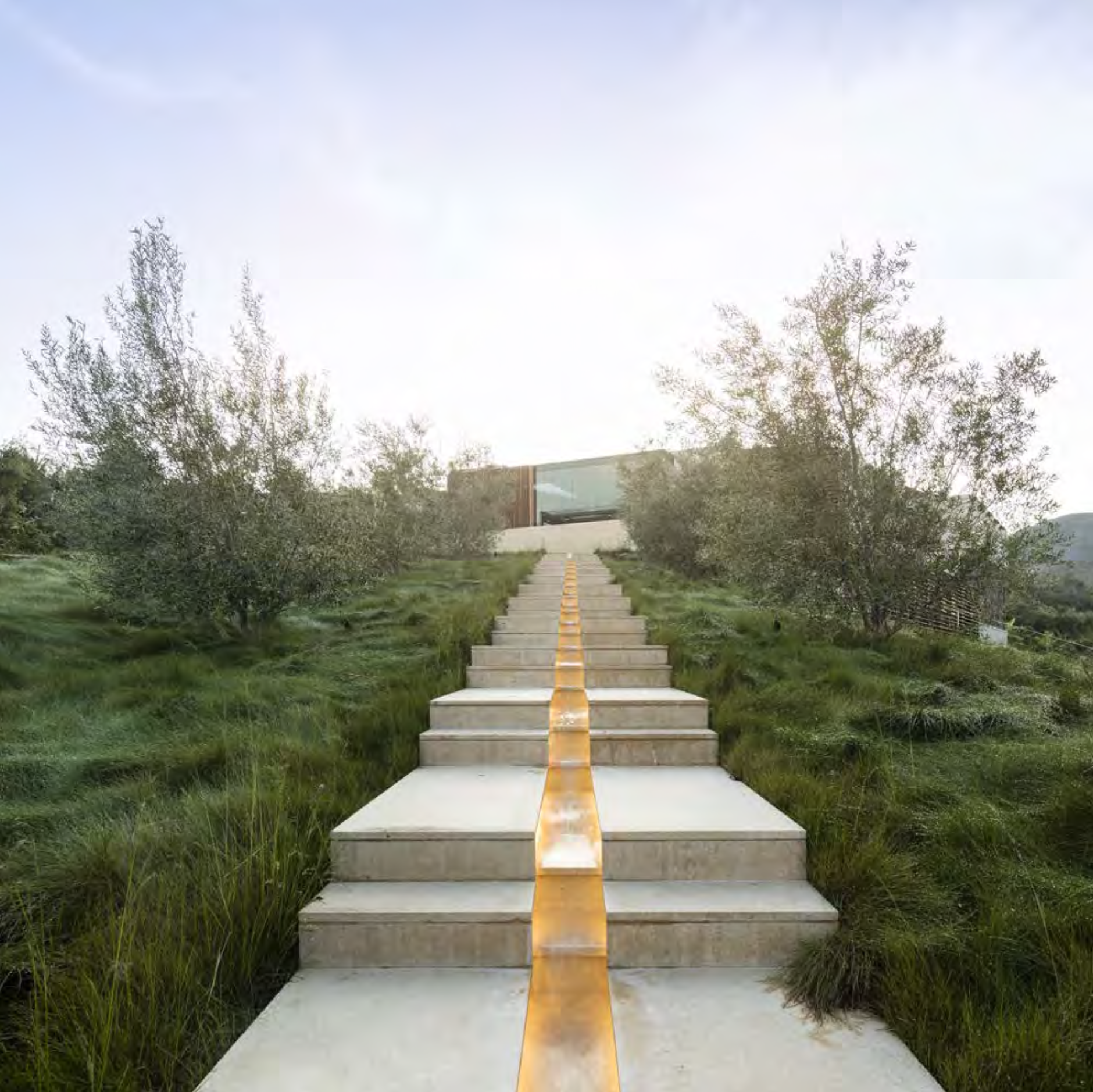 TRAMONTO — Donaldson+Partners
