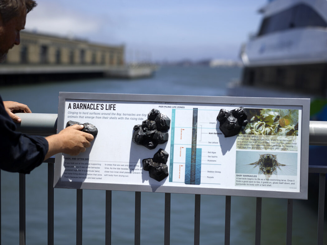 The Barnacles at Pier 9 — Surfacedesign, Inc.
