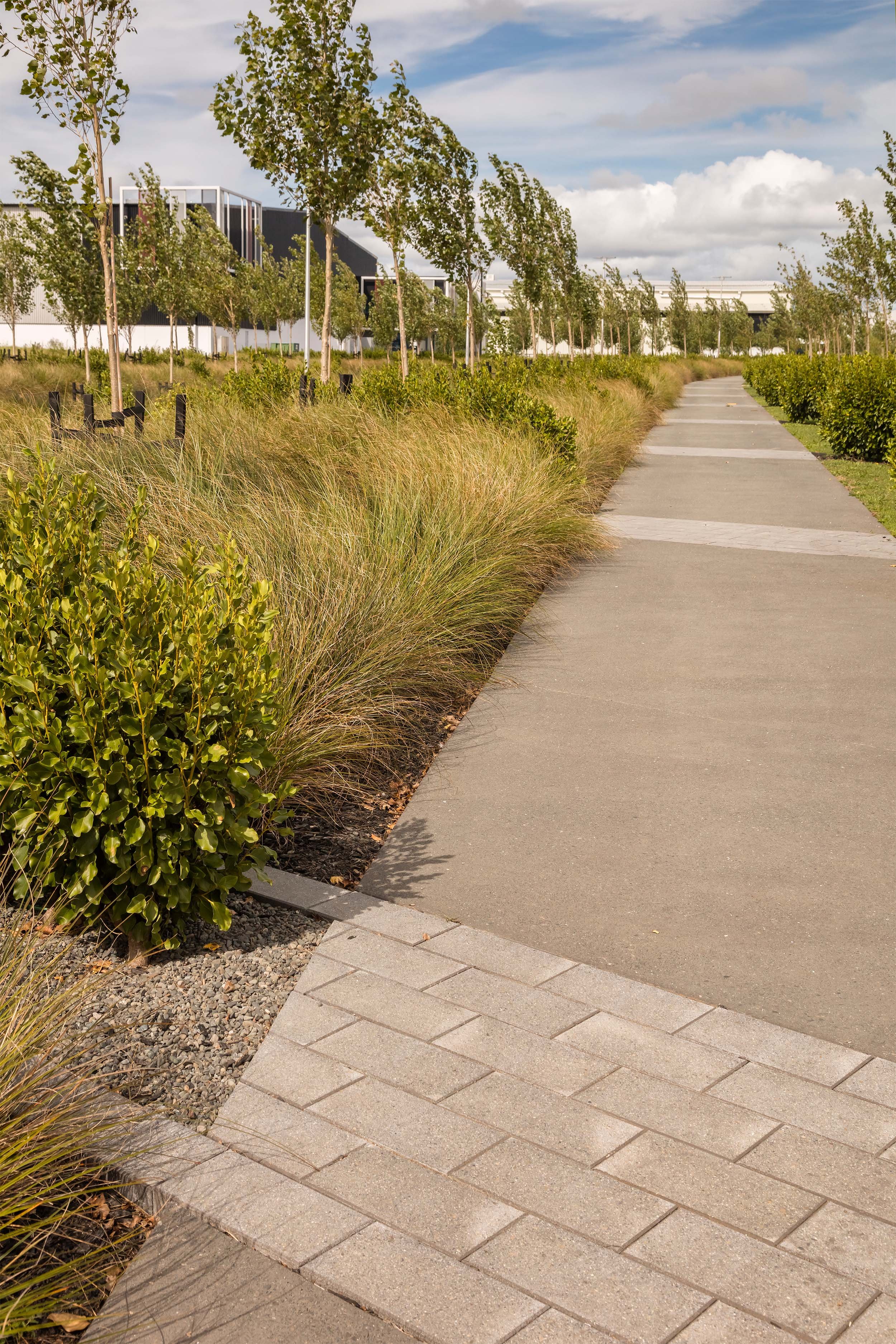 The Landing Business Park — Surfacedesign, Inc.