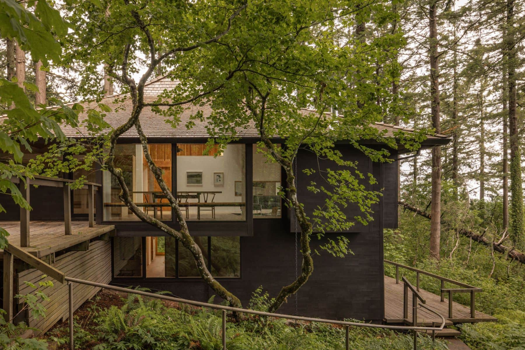 The Mori House — SHED Architecture & Design
