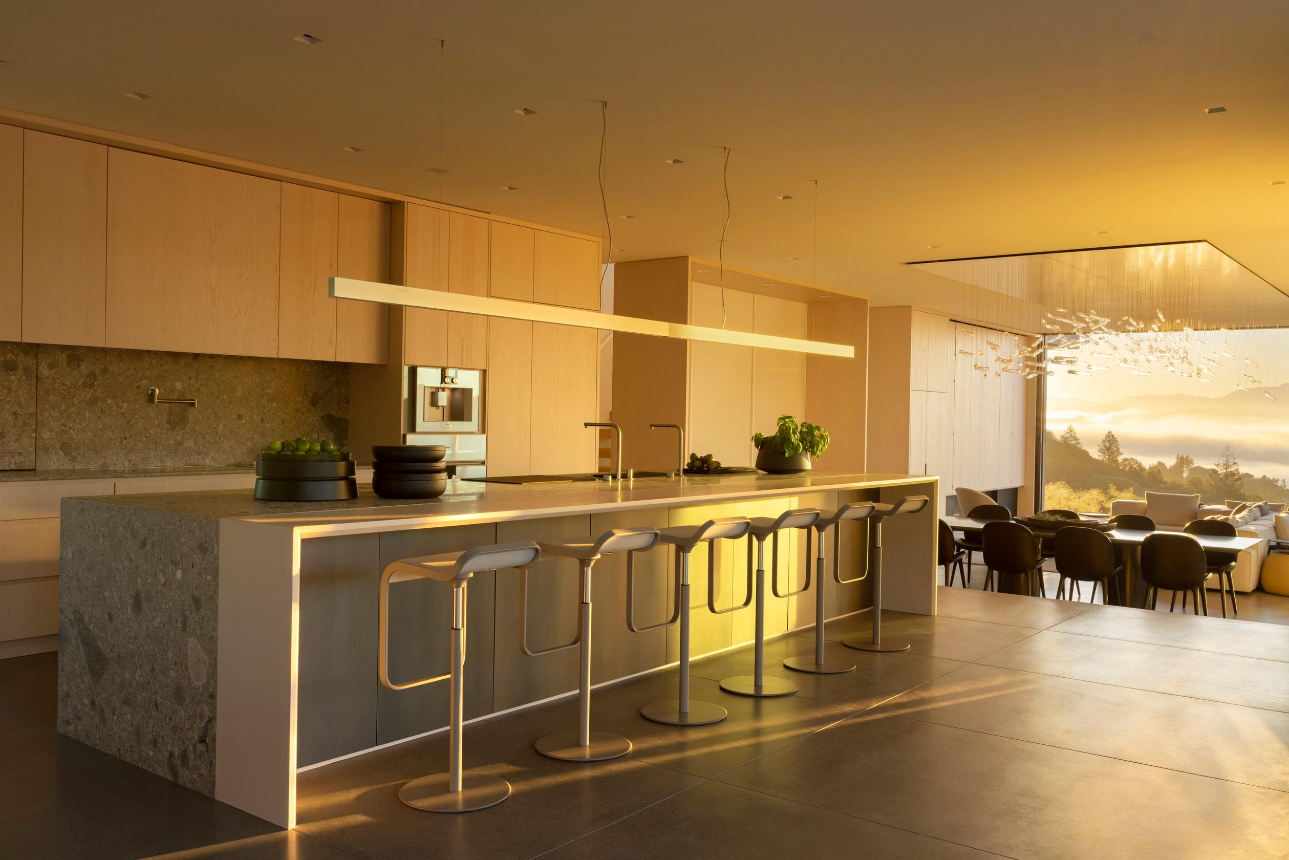 The Phoenix — Feldman Architecture