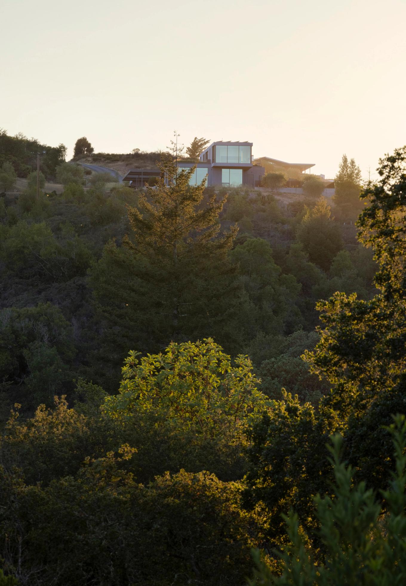 The Phoenix — Feldman Architecture