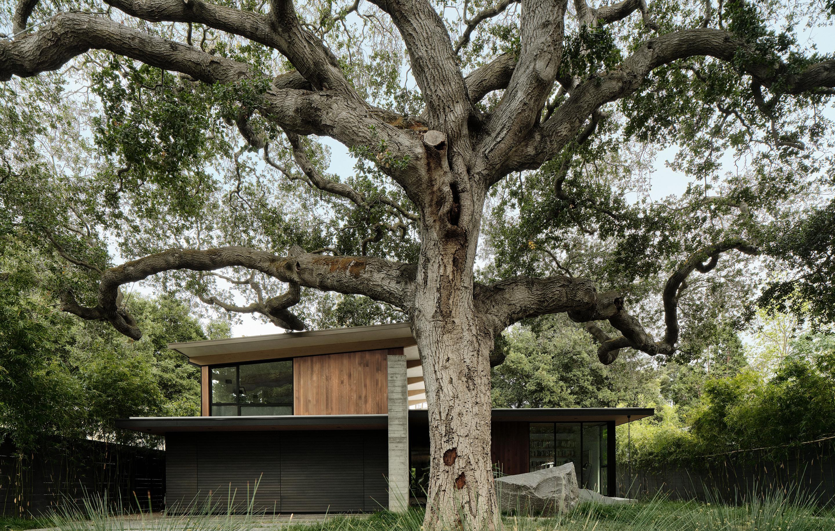 The Sanctuary — Feldman Architecture