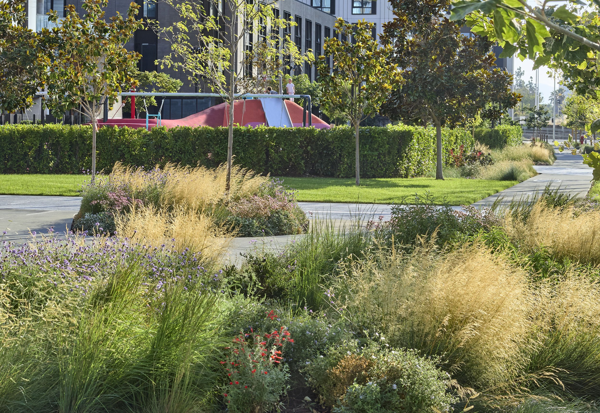 The Clara — Surfacedesign, Inc.