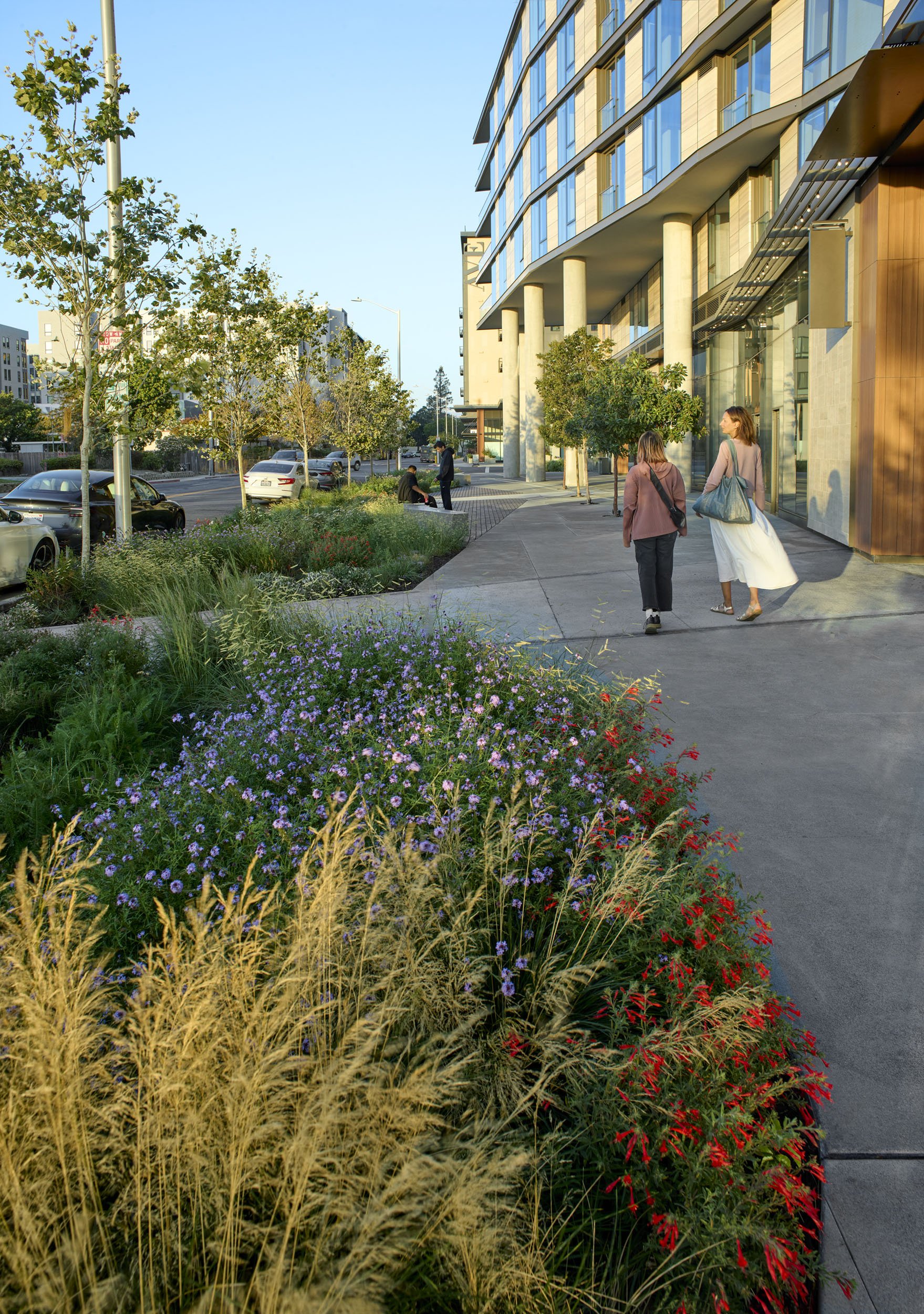 The Clara — Surfacedesign, Inc.
