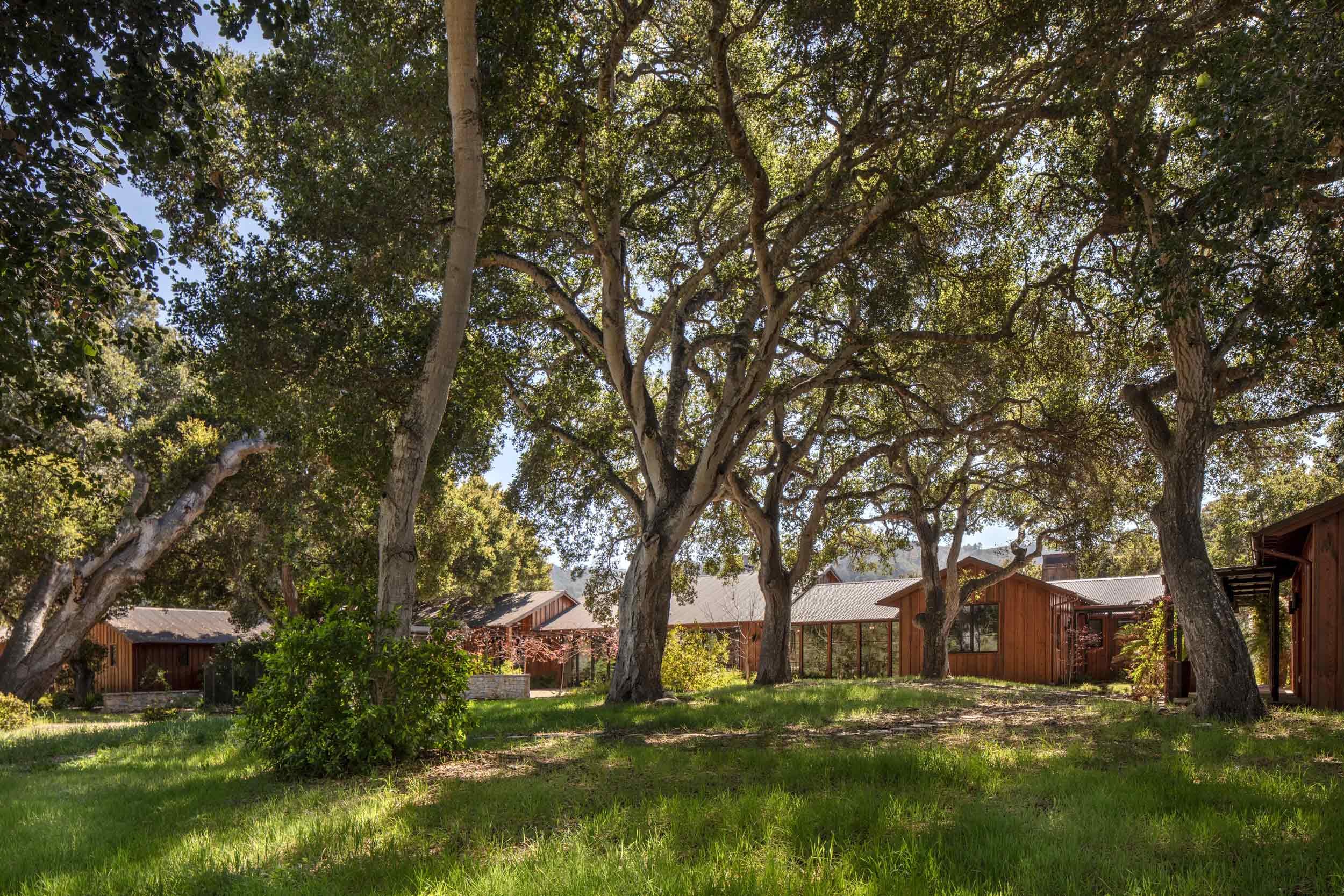 The Meadows — Tom Meaney | Architect