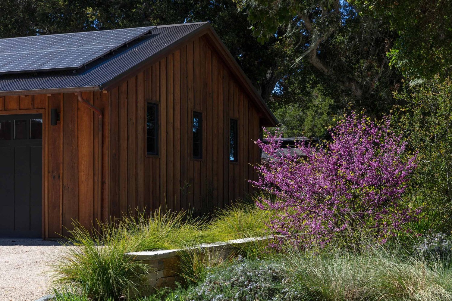 The Meadows — Tom Meaney | Architect