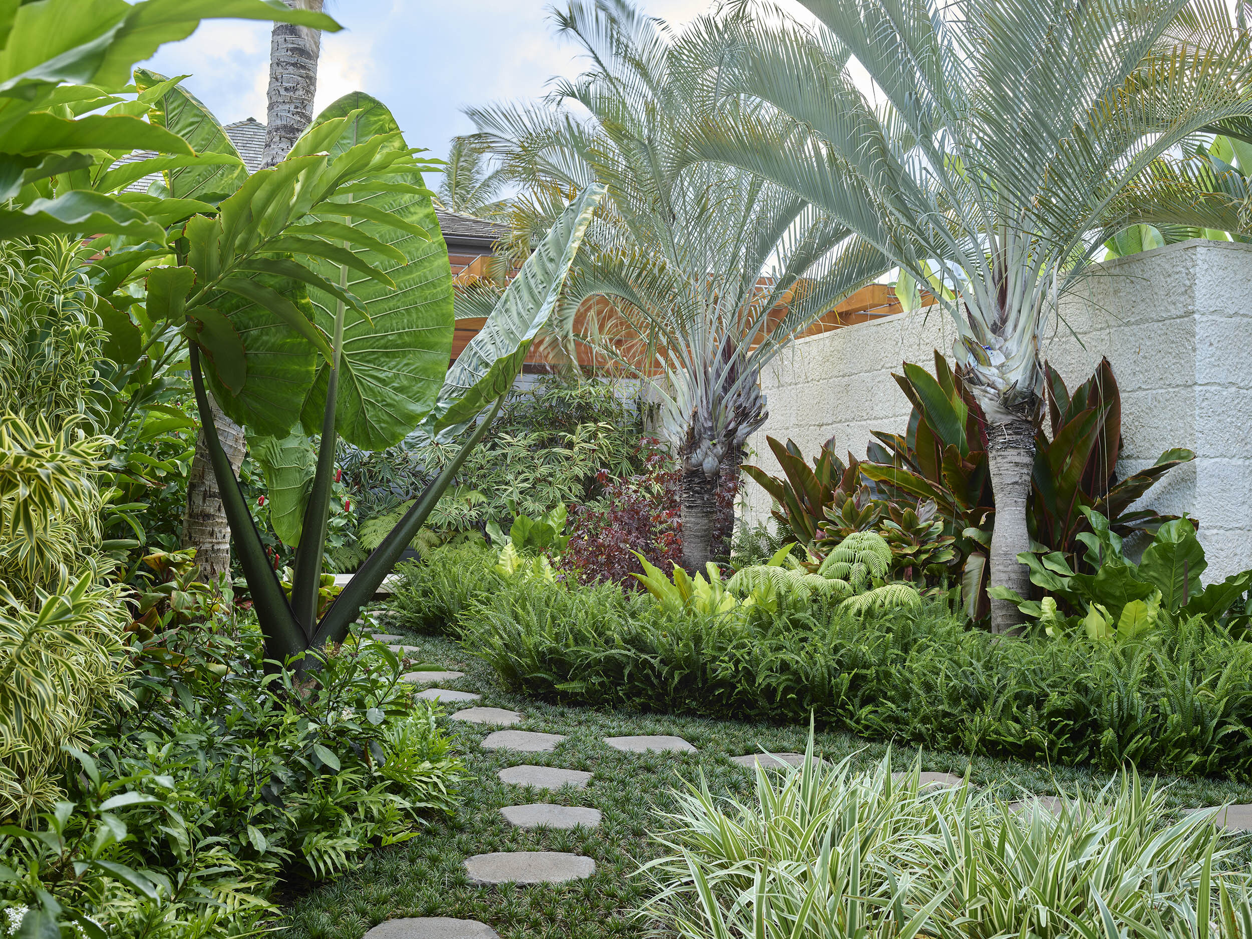 Tide Pool Garden — Surfacedesign, Inc.