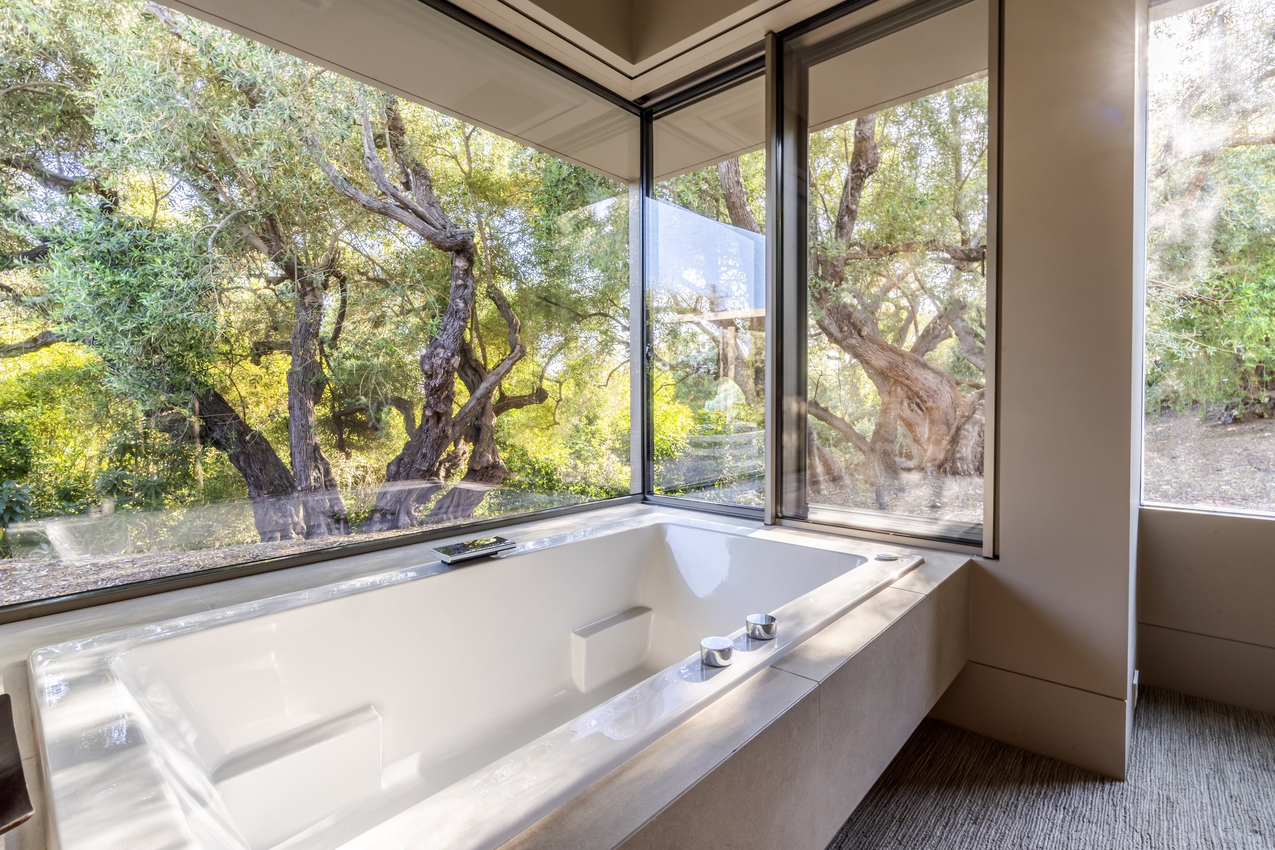 Toro Canyon Modern Estate — Warner Group Architects