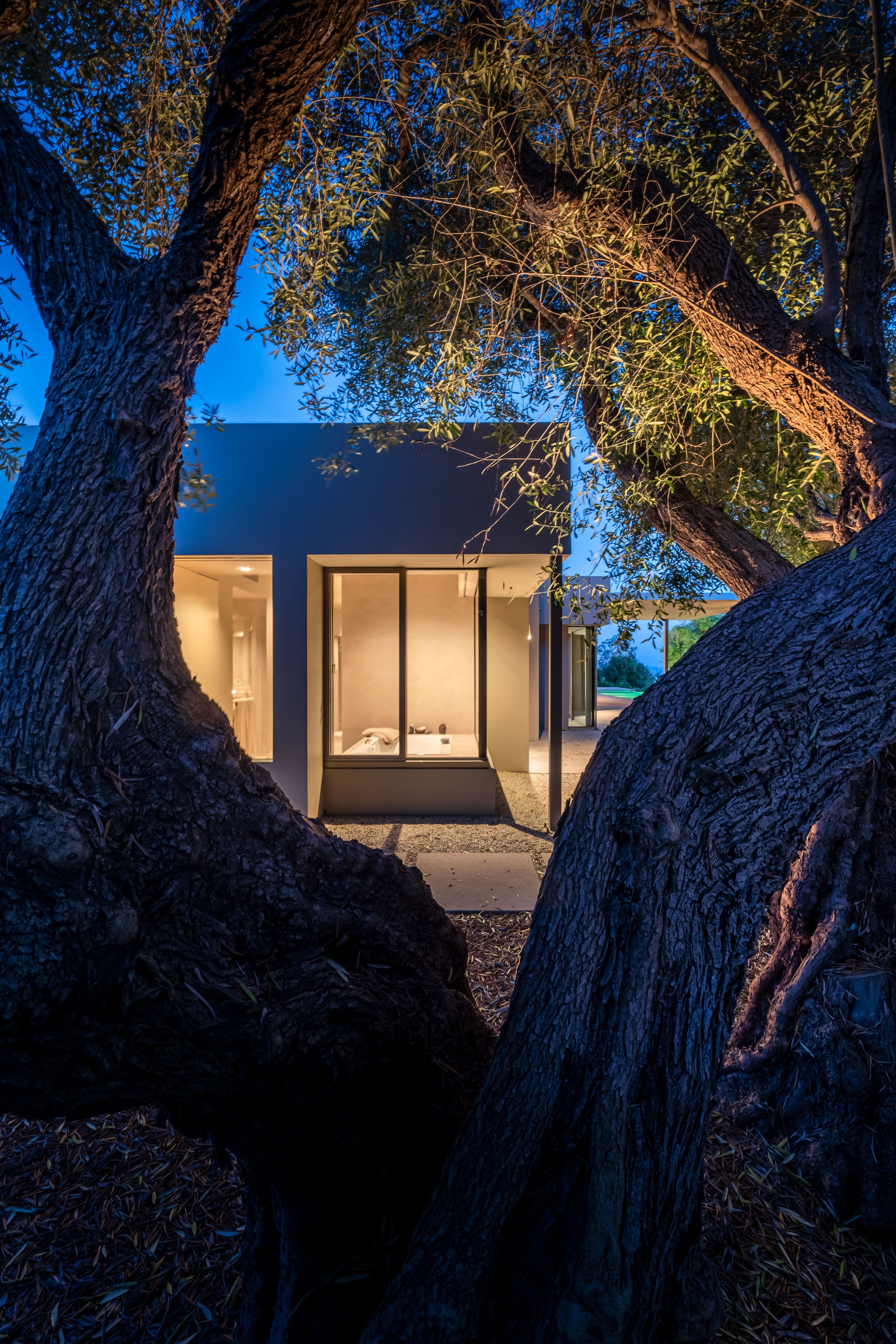 Toro Canyon Modern Estate — Warner Group Architects