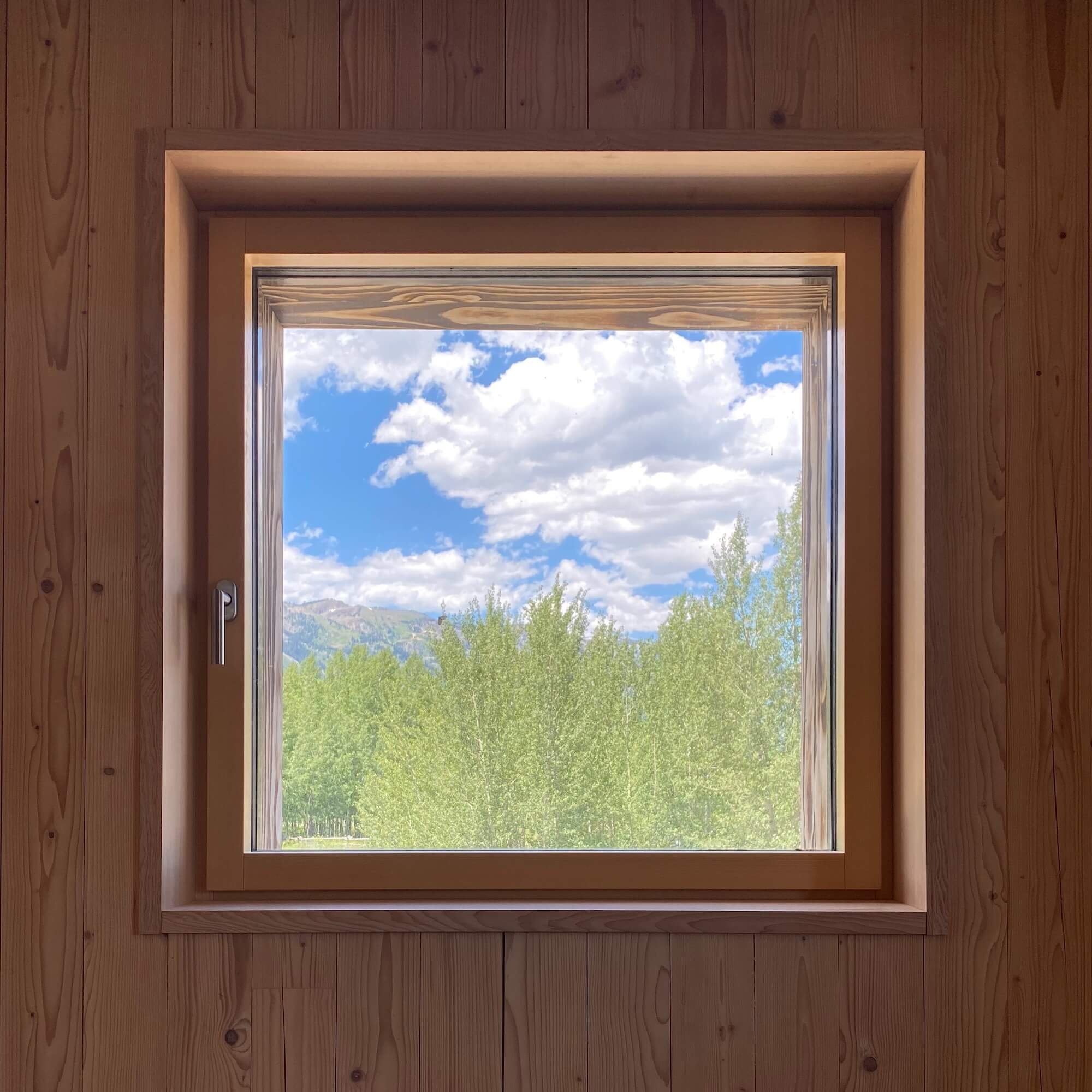 Tree Haus — Love | Schack Architecture