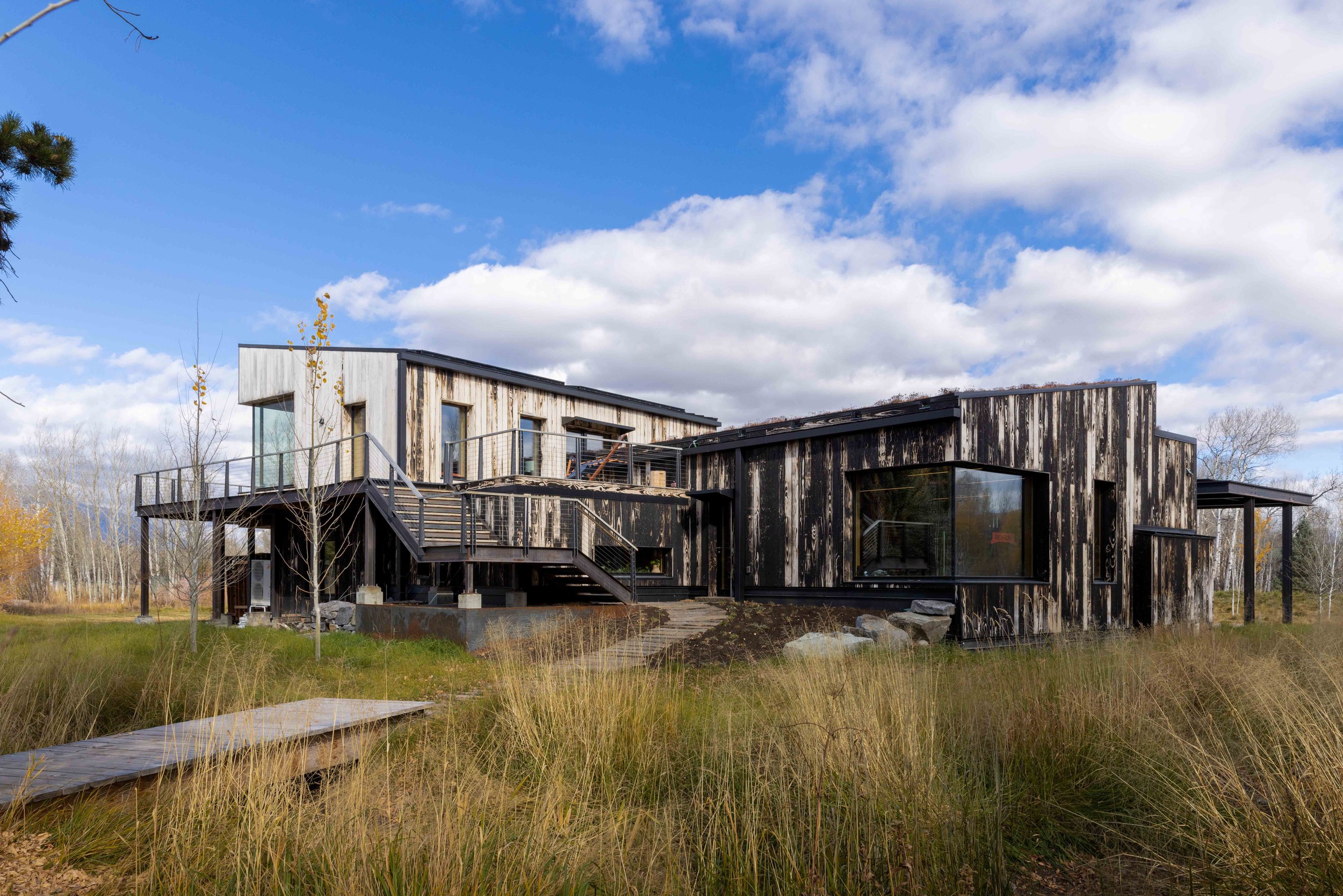 Tree Haus — Love | Schack Architecture