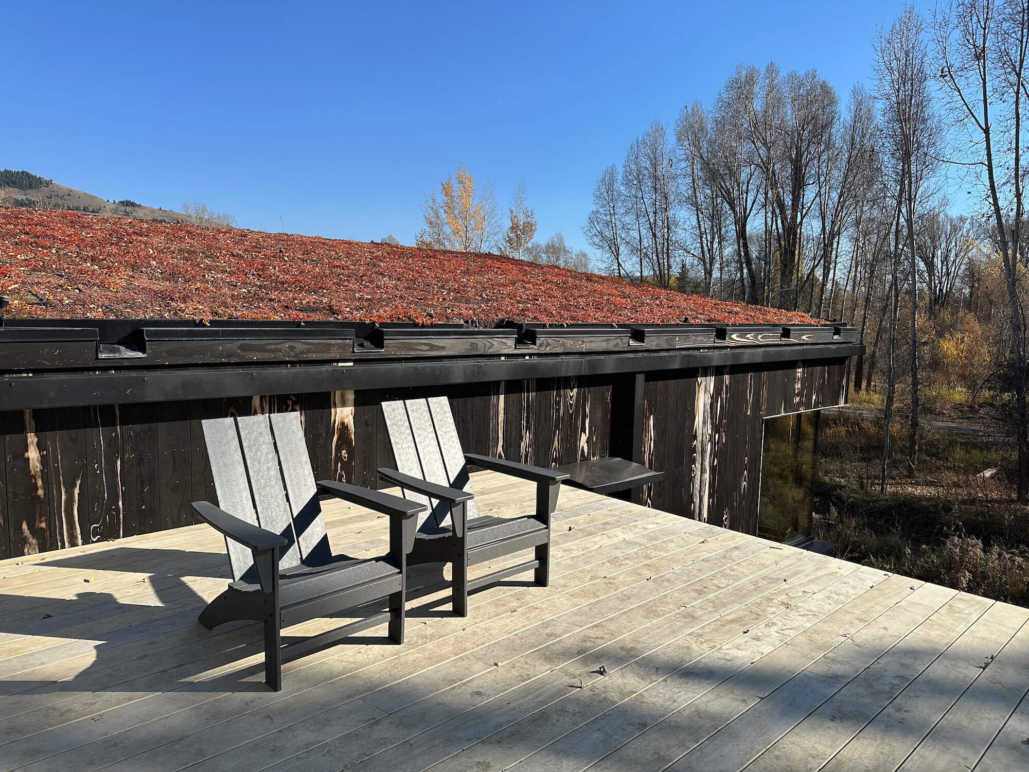 Tree Haus — Love | Schack Architecture