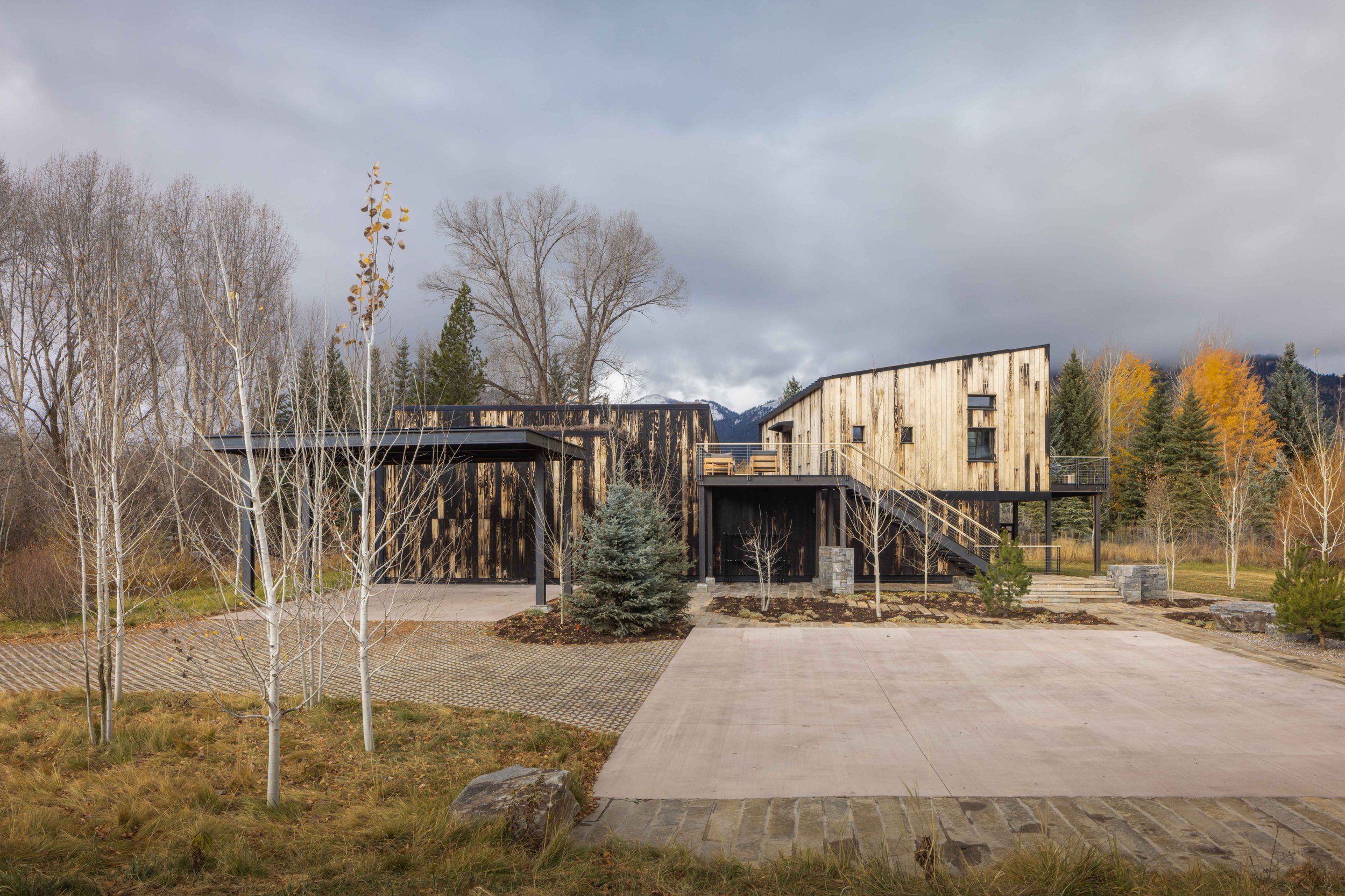 Tree Haus — Love | Schack Architecture
