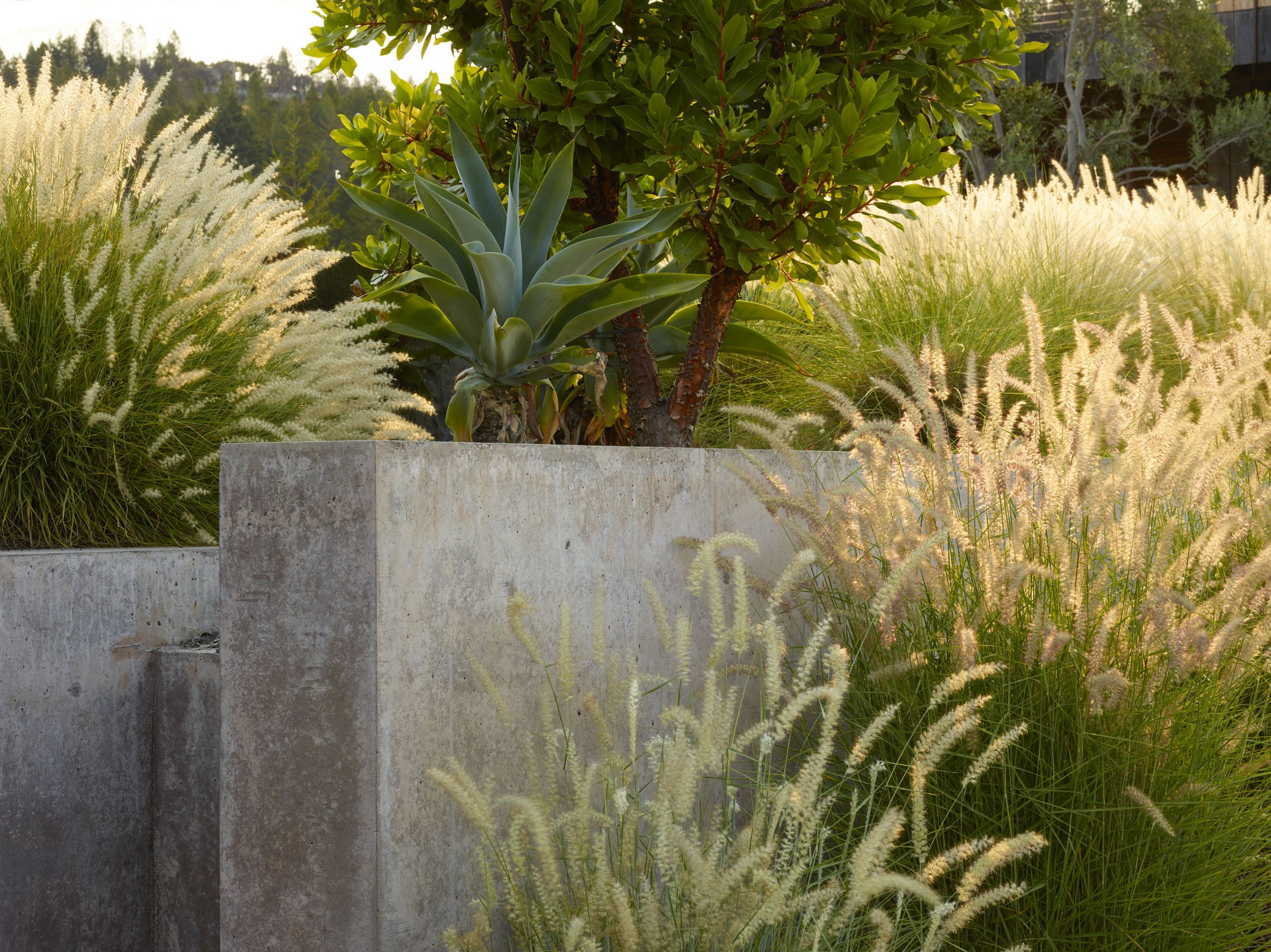 Trinity Road — Surfacedesign, Inc.