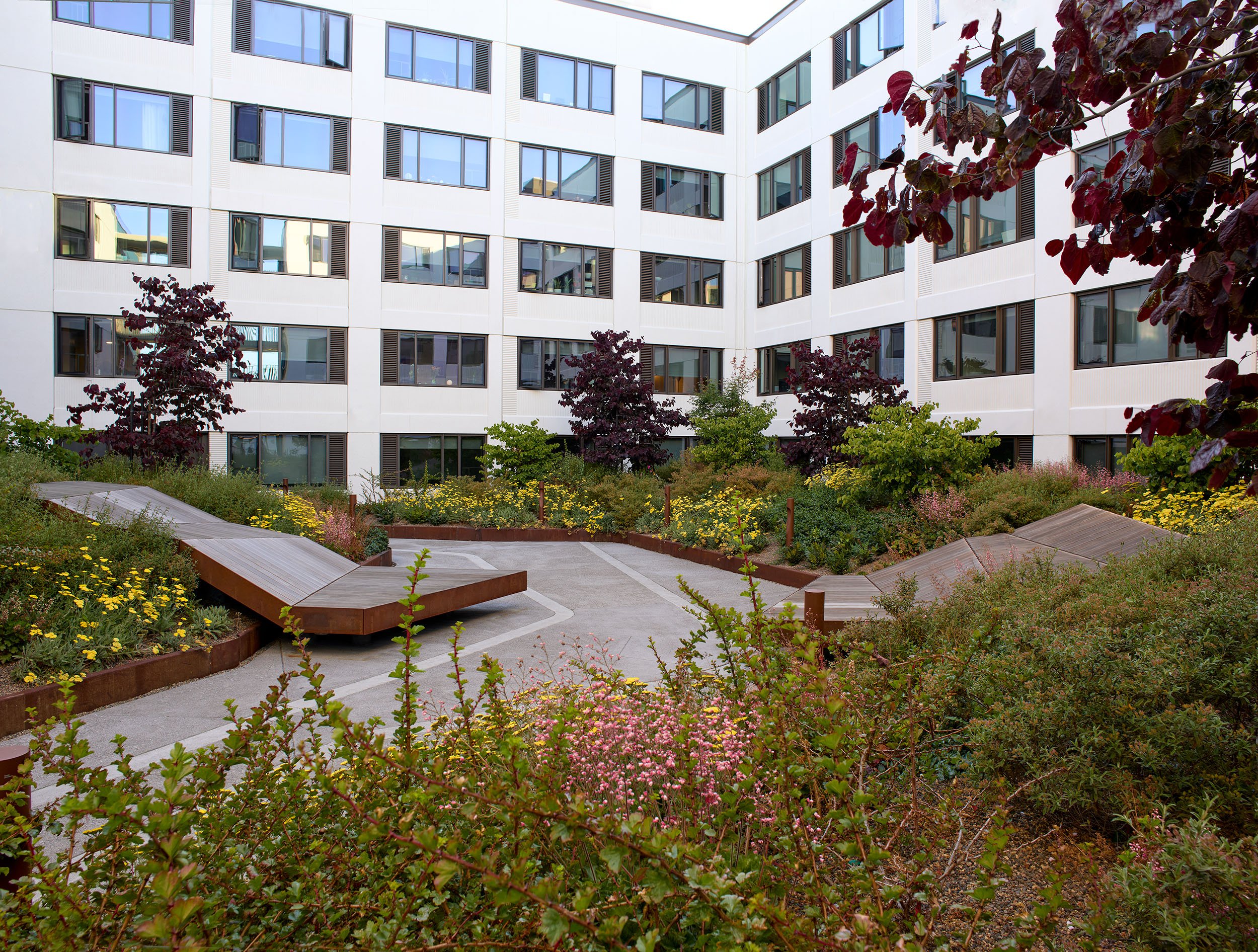 UCSF Tidelands — Surfacedesign, Inc.