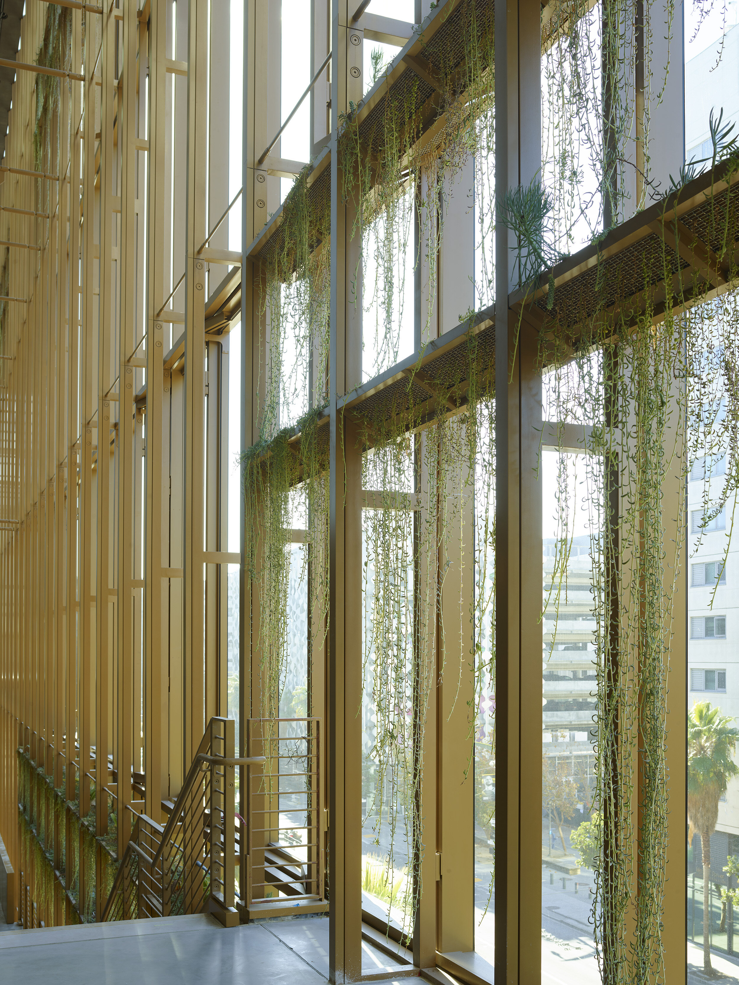 Uber HQ Facade Planters — Surfacedesign, Inc.