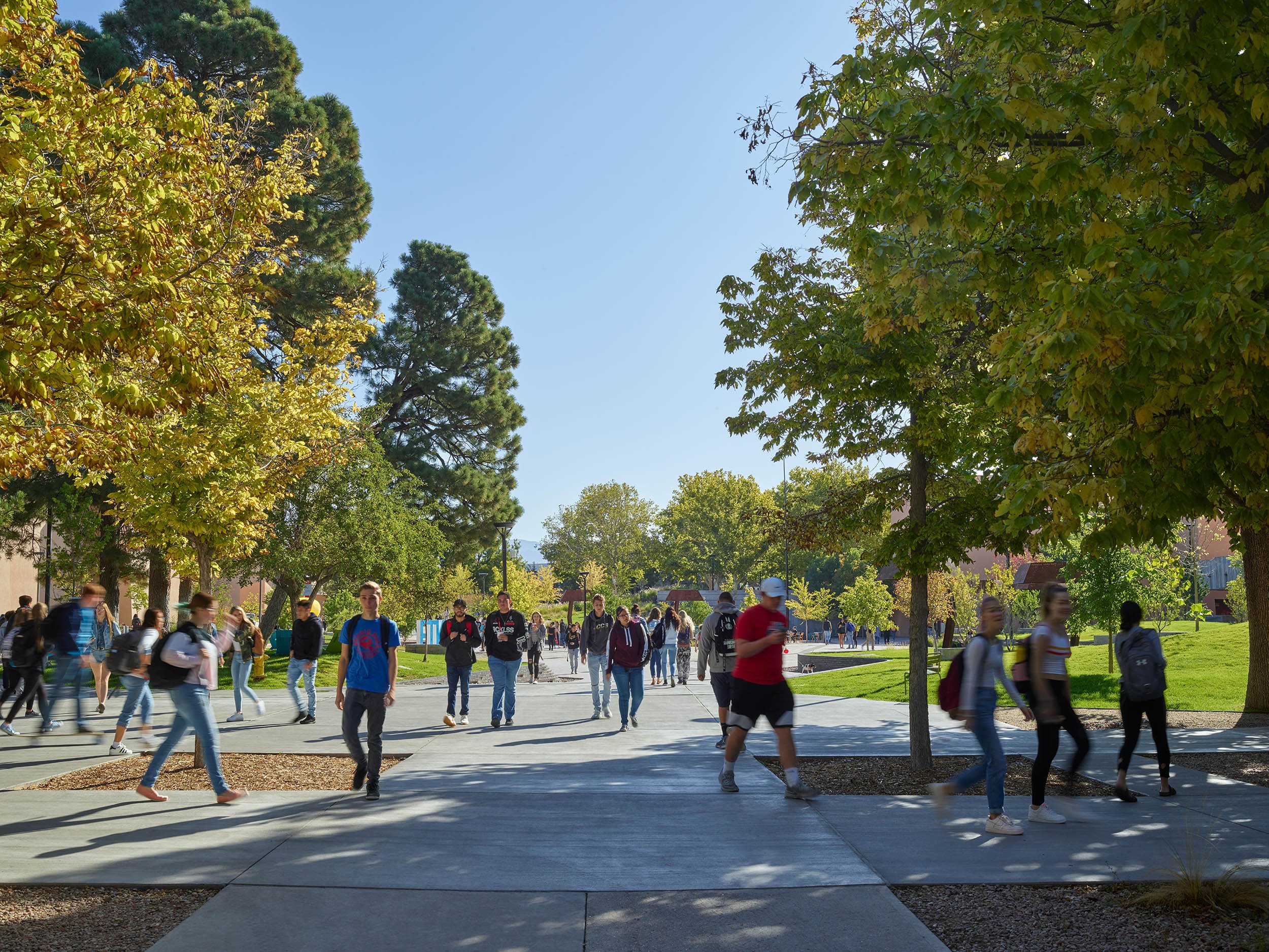 University of New Mexico — Surfacedesign, Inc.