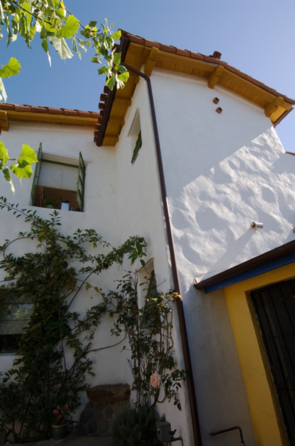 Valencia Tree & Landscape — Jeff Shelton Architect