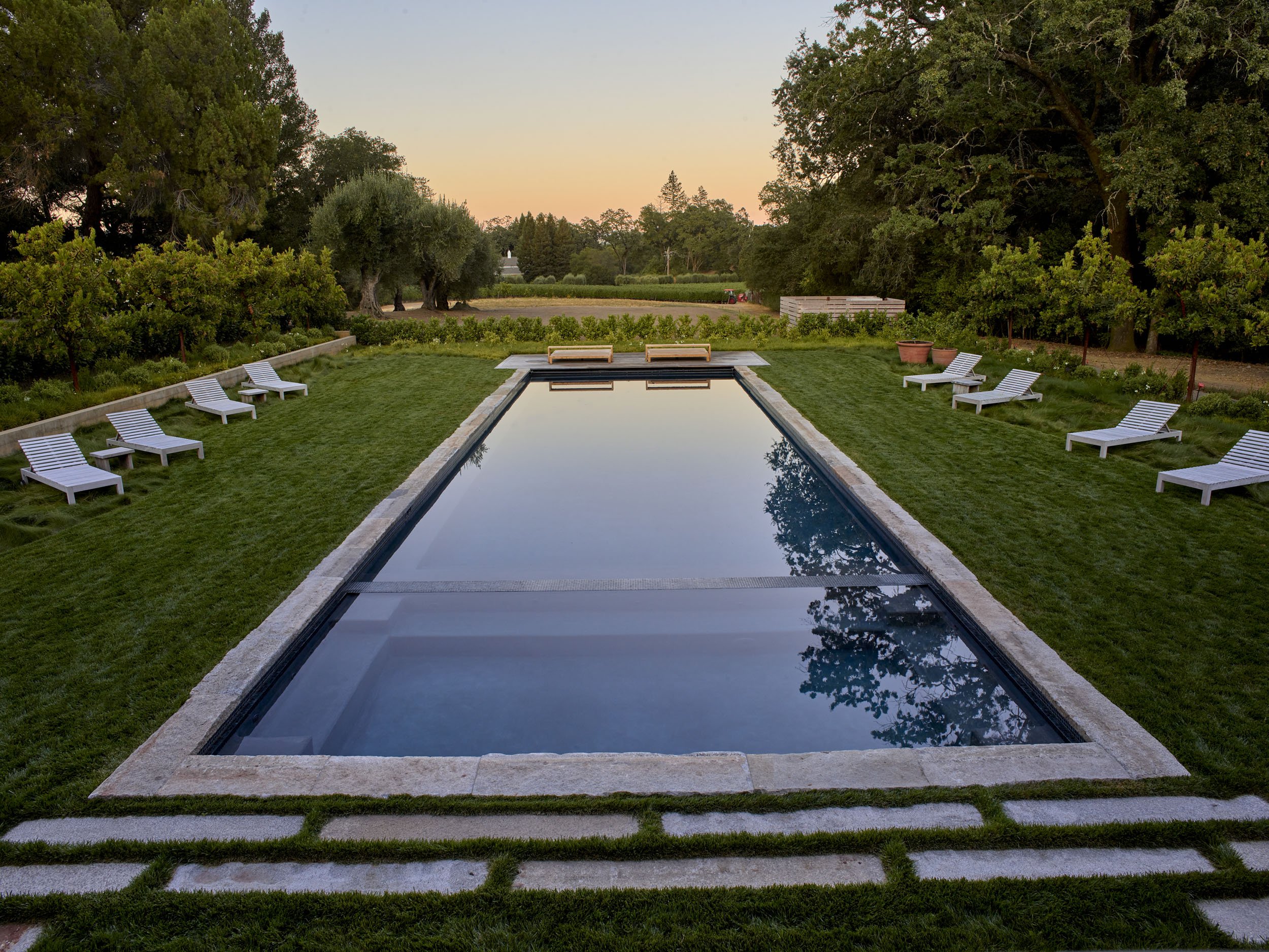 Vine and Fig — Surfacedesign, Inc.